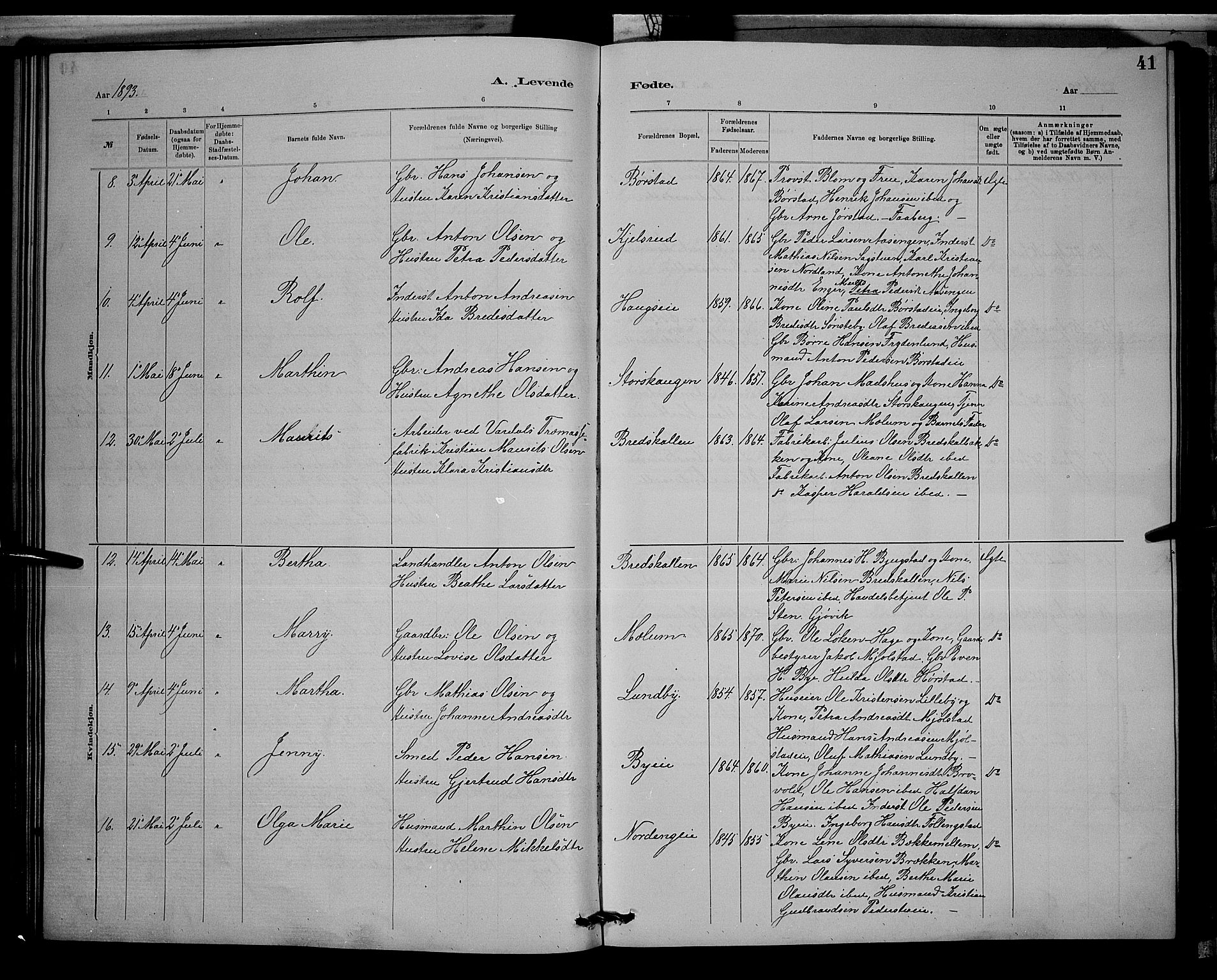 Vardal prestekontor, AV/SAH-PREST-100/H/Ha/Hab/L0008: Klokkerbok nr. 8, 1881-1898, s. 41