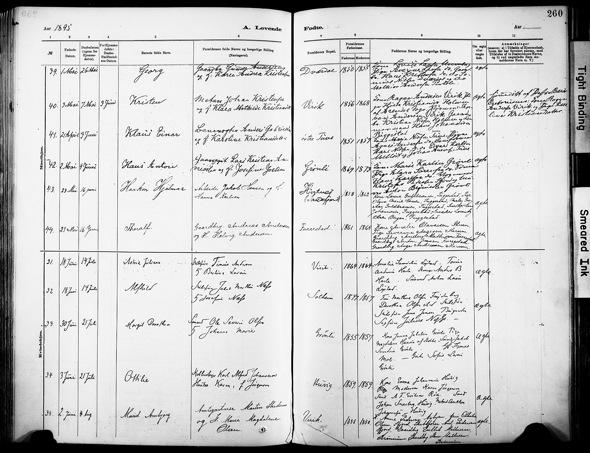 Sandar kirkebøker, AV/SAKO-A-243/F/Fa/L0012: Ministerialbok nr. 12, 1883-1895, s. 260