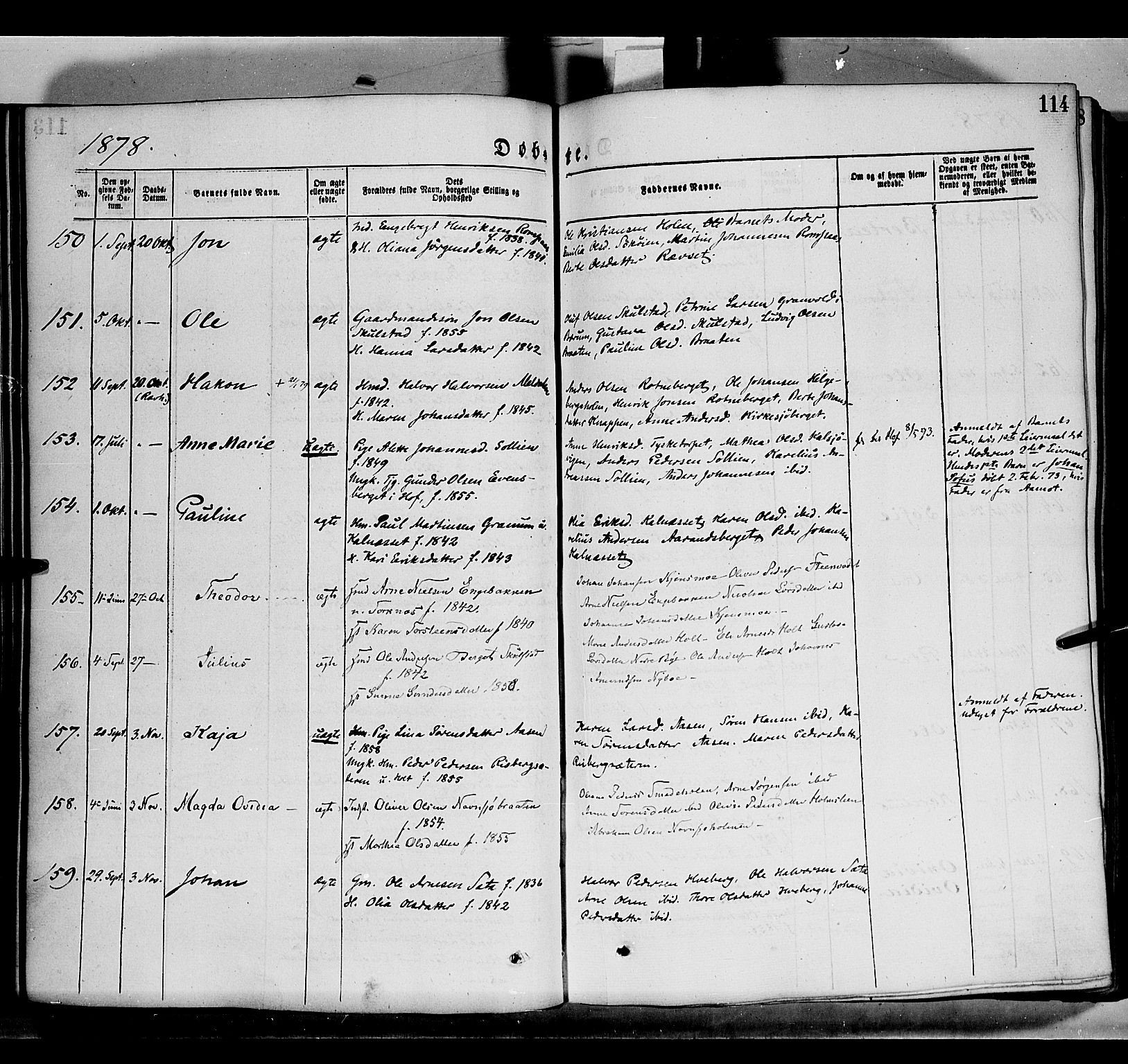 Grue prestekontor, AV/SAH-PREST-036/H/Ha/Haa/L0011: Ministerialbok nr. 11, 1873-1880, s. 114