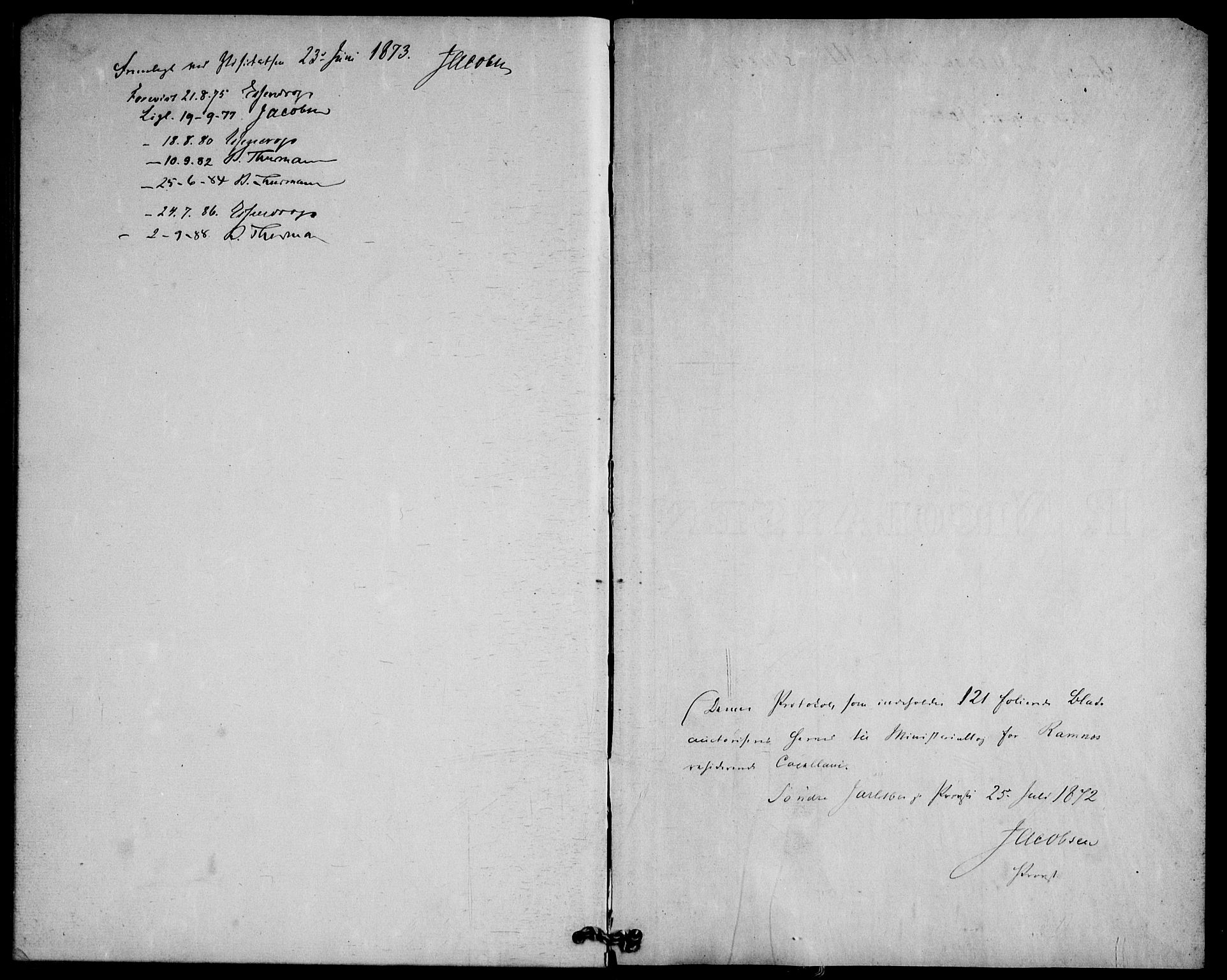 Ramnes kirkebøker, SAKO/A-314/F/Fd/L0002: Residerende kapellans bok nr. IV 2, 1872-1886