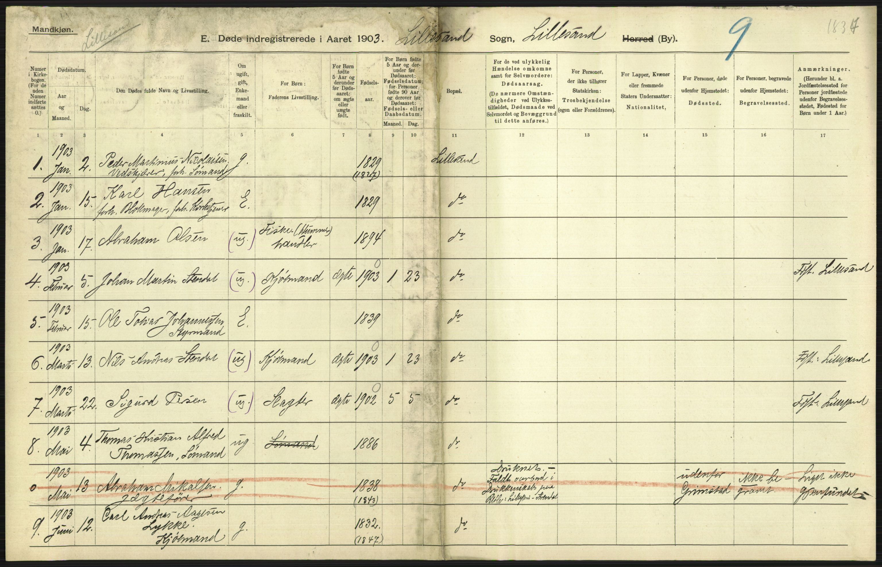 Statistisk sentralbyrå, Sosiodemografiske emner, Befolkning, RA/S-2228/D/Df/Dfa/Dfaa/L0010: Nedenes amt: Fødte, gifte, døde, 1903, s. 505