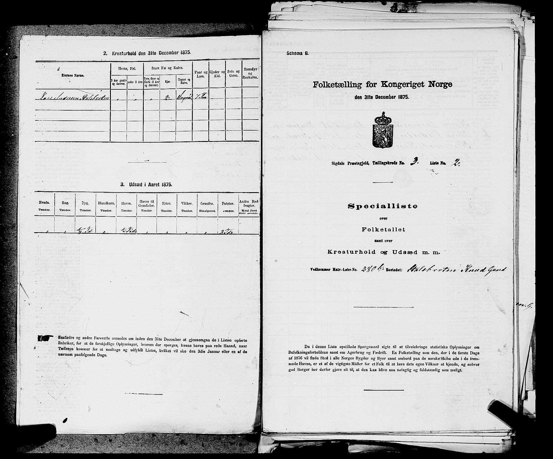 SAKO, Folketelling 1875 for 0621P Sigdal prestegjeld, 1875, s. 2135