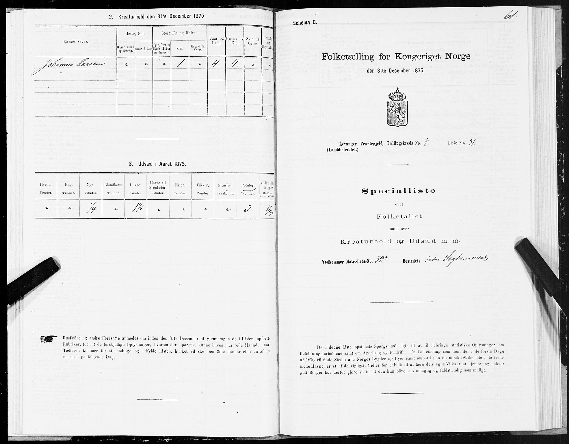 SAT, Folketelling 1875 for 1720L Levanger prestegjeld, Levanger landsokn, 1875, s. 3061