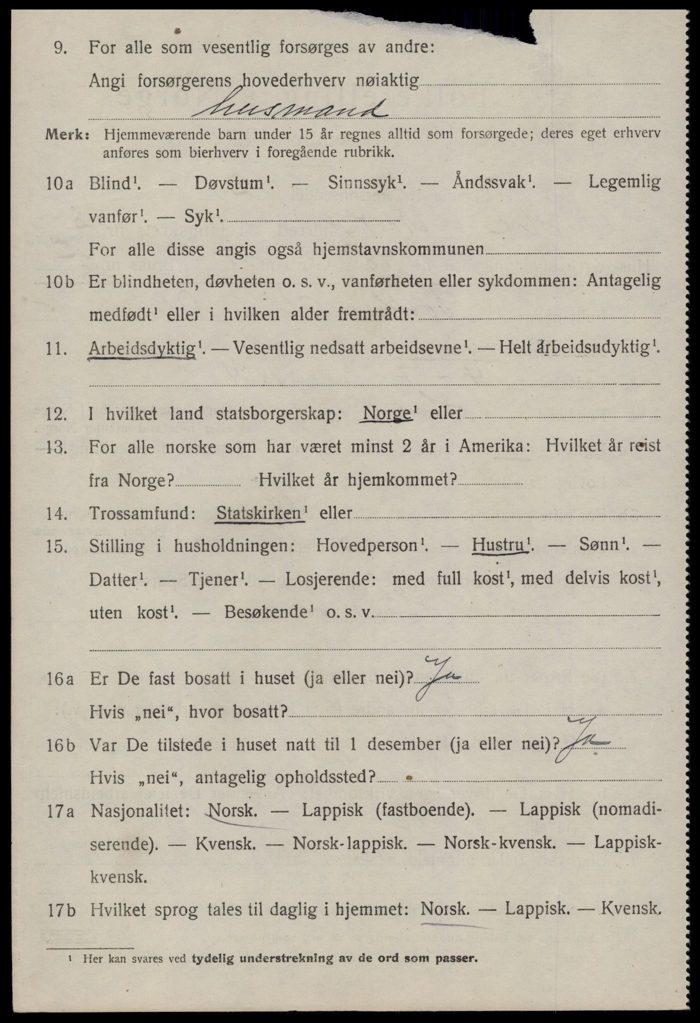 SAT, Folketelling 1920 for 1861 Hol herred, 1920, s. 2964