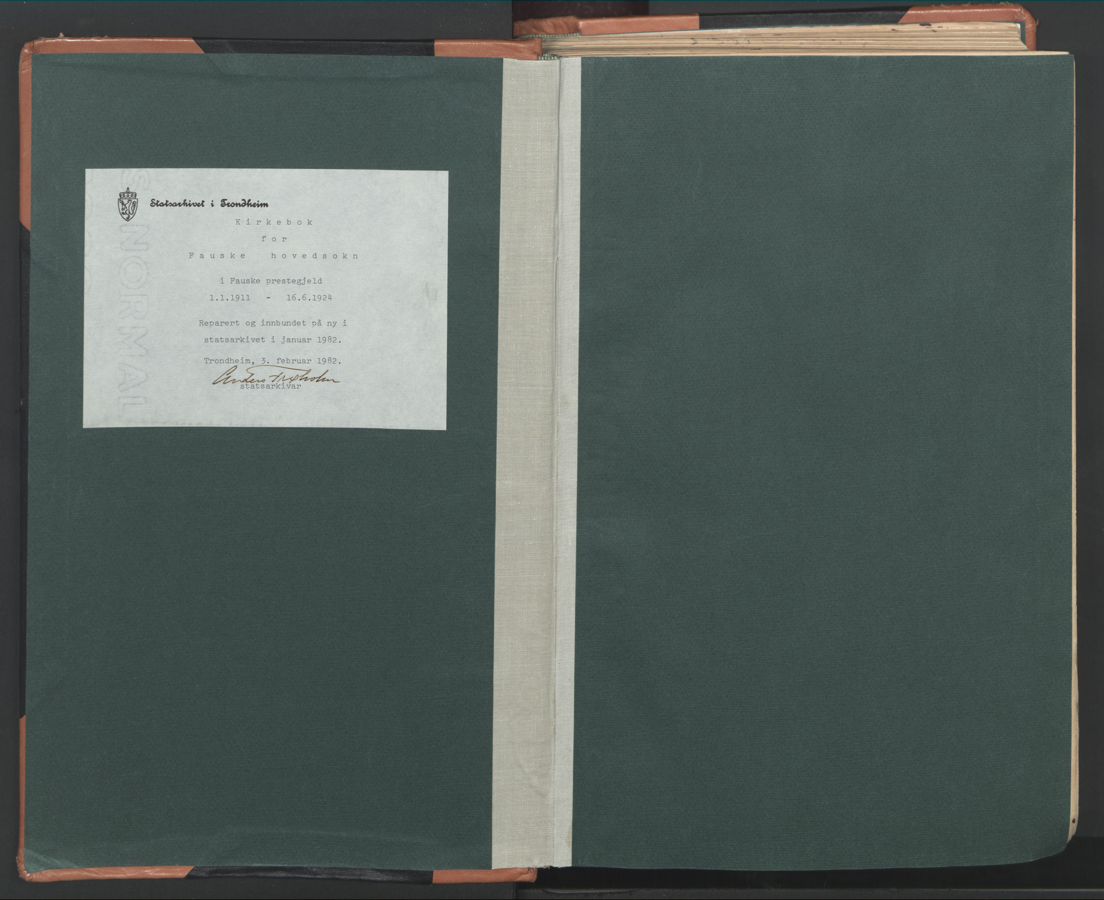 Ministerialprotokoller, klokkerbøker og fødselsregistre - Nordland, AV/SAT-A-1459/849/L0698: Ministerialbok nr. 849A09, 1911-1924