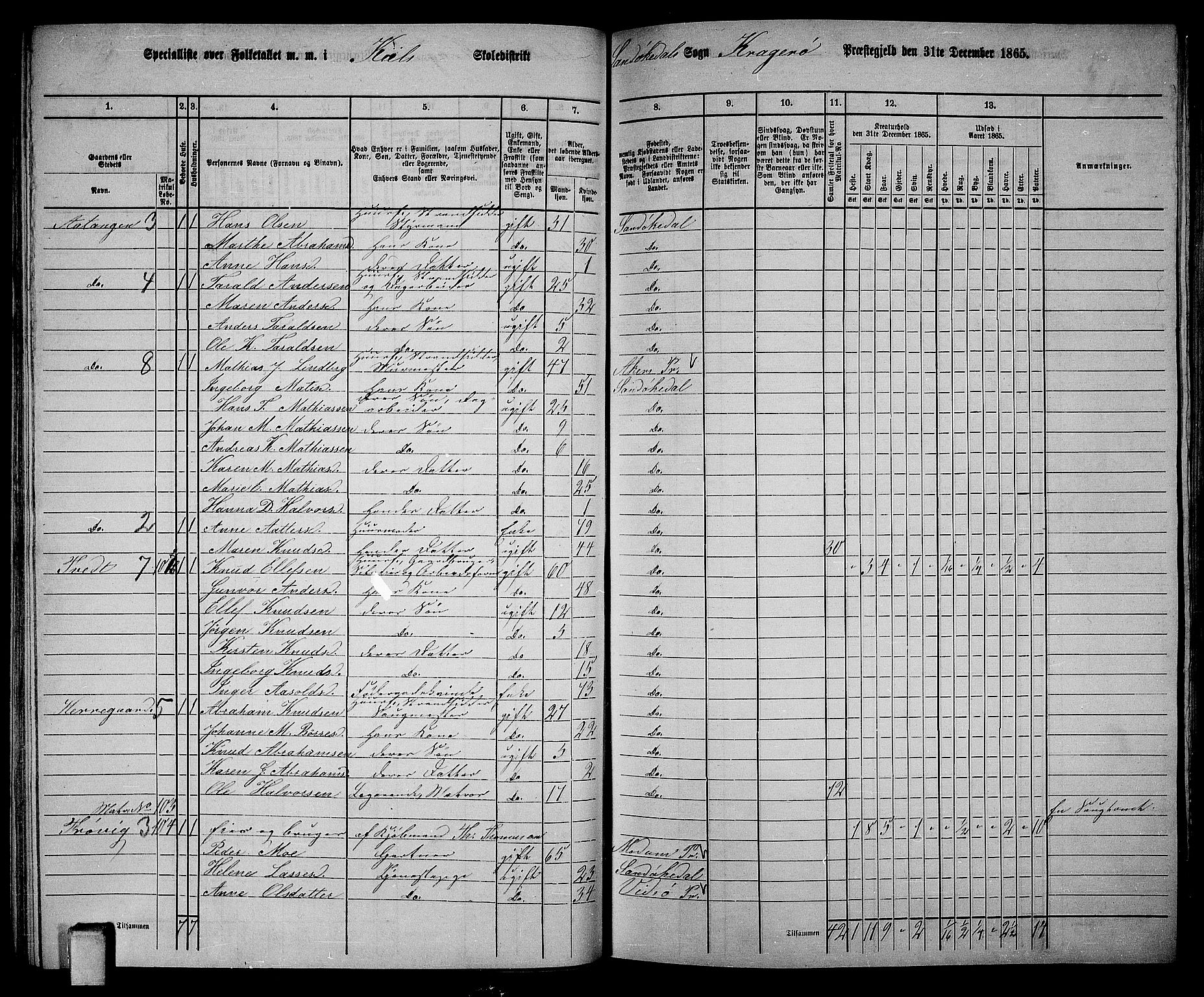 RA, Folketelling 1865 for 0816L Kragerø prestegjeld, Sannidal sokn og Skåtøy sokn, 1865, s. 61