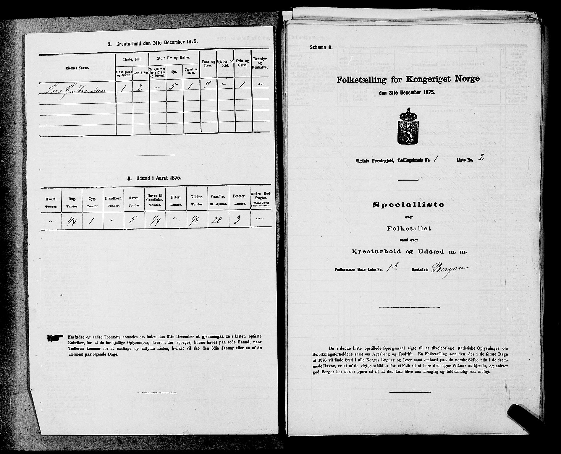 SAKO, Folketelling 1875 for 0621P Sigdal prestegjeld, 1875, s. 82