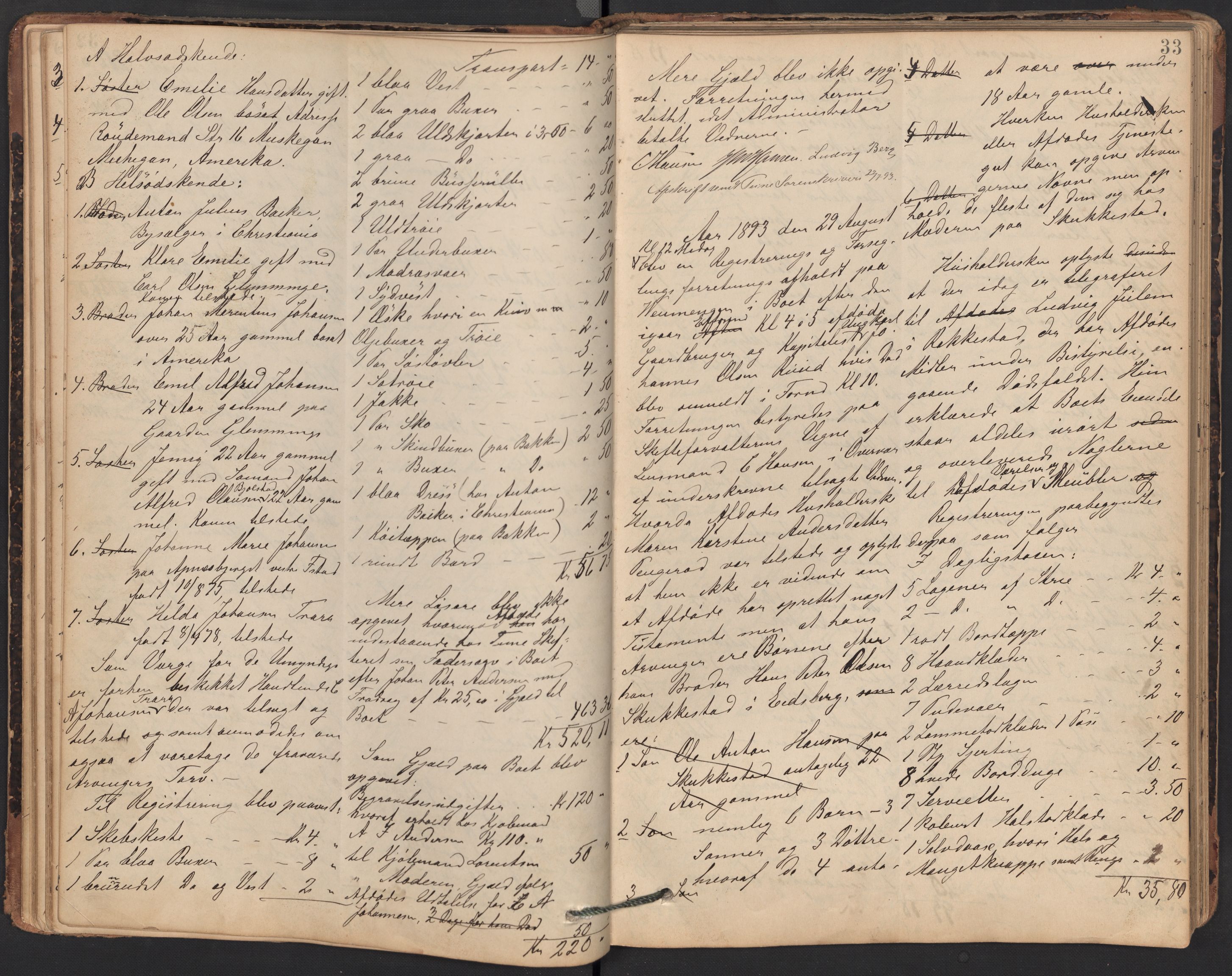 Glemmen lensmannskontor, AV/SAO-A-10123/H/Ha/Hab/L0004: Registreringsprotokoller, 1891-1899, s. 33