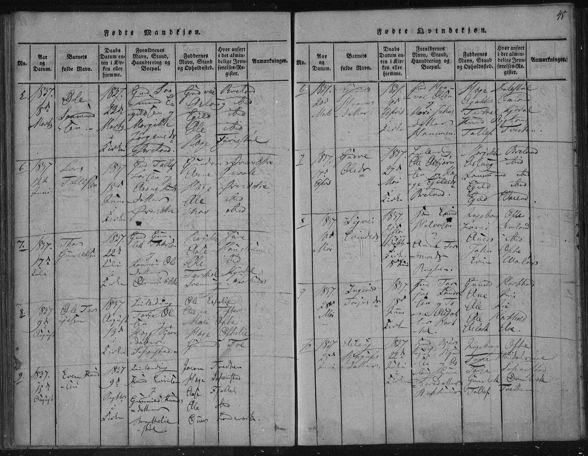 Lårdal kirkebøker, AV/SAKO-A-284/F/Fc/L0001: Ministerialbok nr. III 1, 1815-1860, s. 45