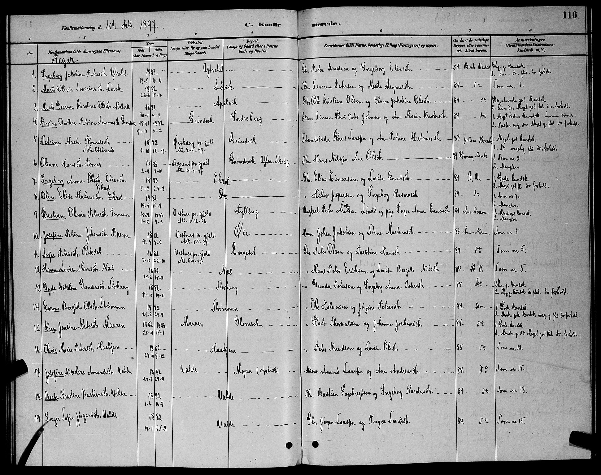 Ministerialprotokoller, klokkerbøker og fødselsregistre - Møre og Romsdal, AV/SAT-A-1454/524/L0365: Klokkerbok nr. 524C06, 1880-1899, s. 116