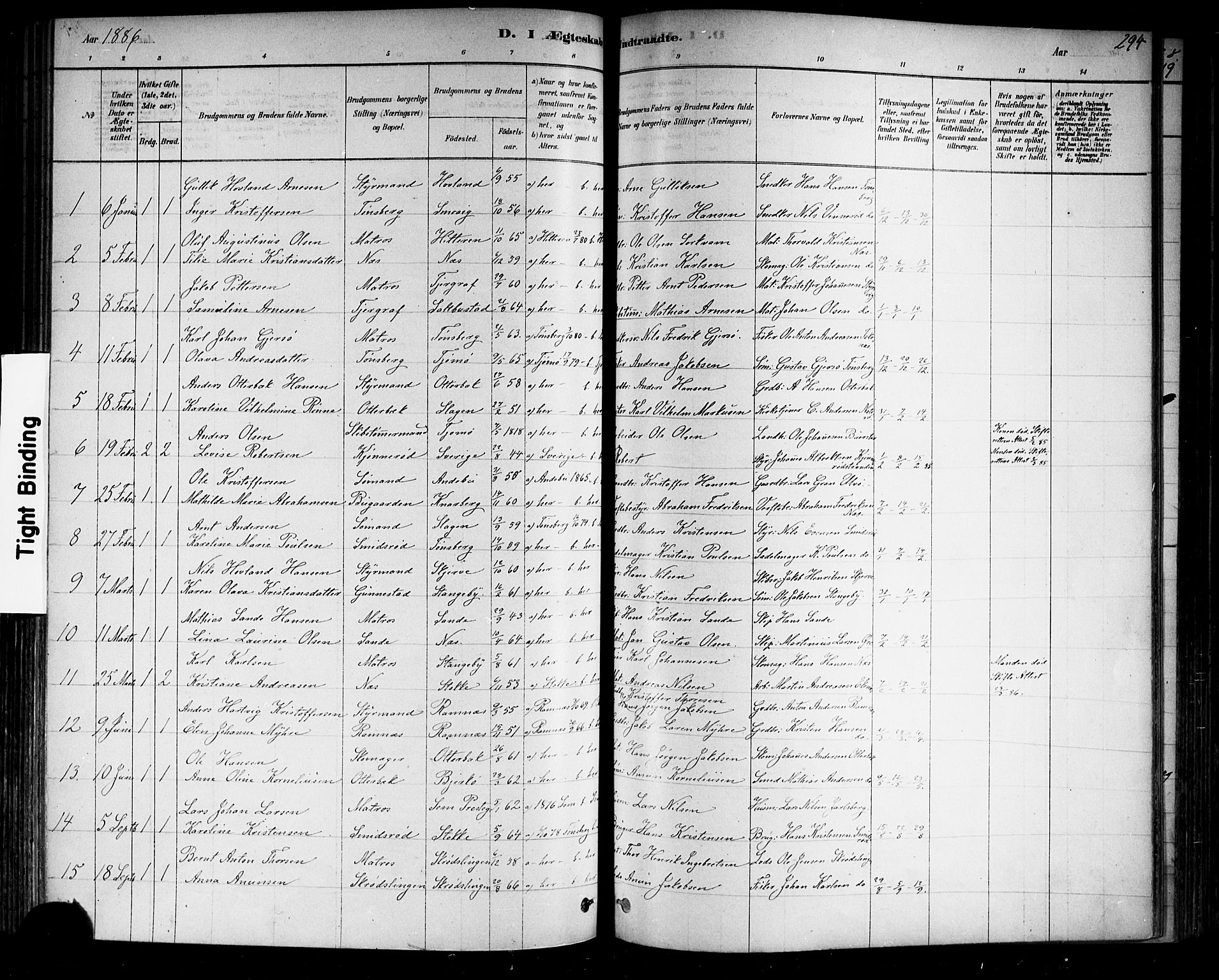 Nøtterøy kirkebøker, AV/SAKO-A-354/F/Fa/L0008: Ministerialbok nr. I 8, 1878-1893, s. 294