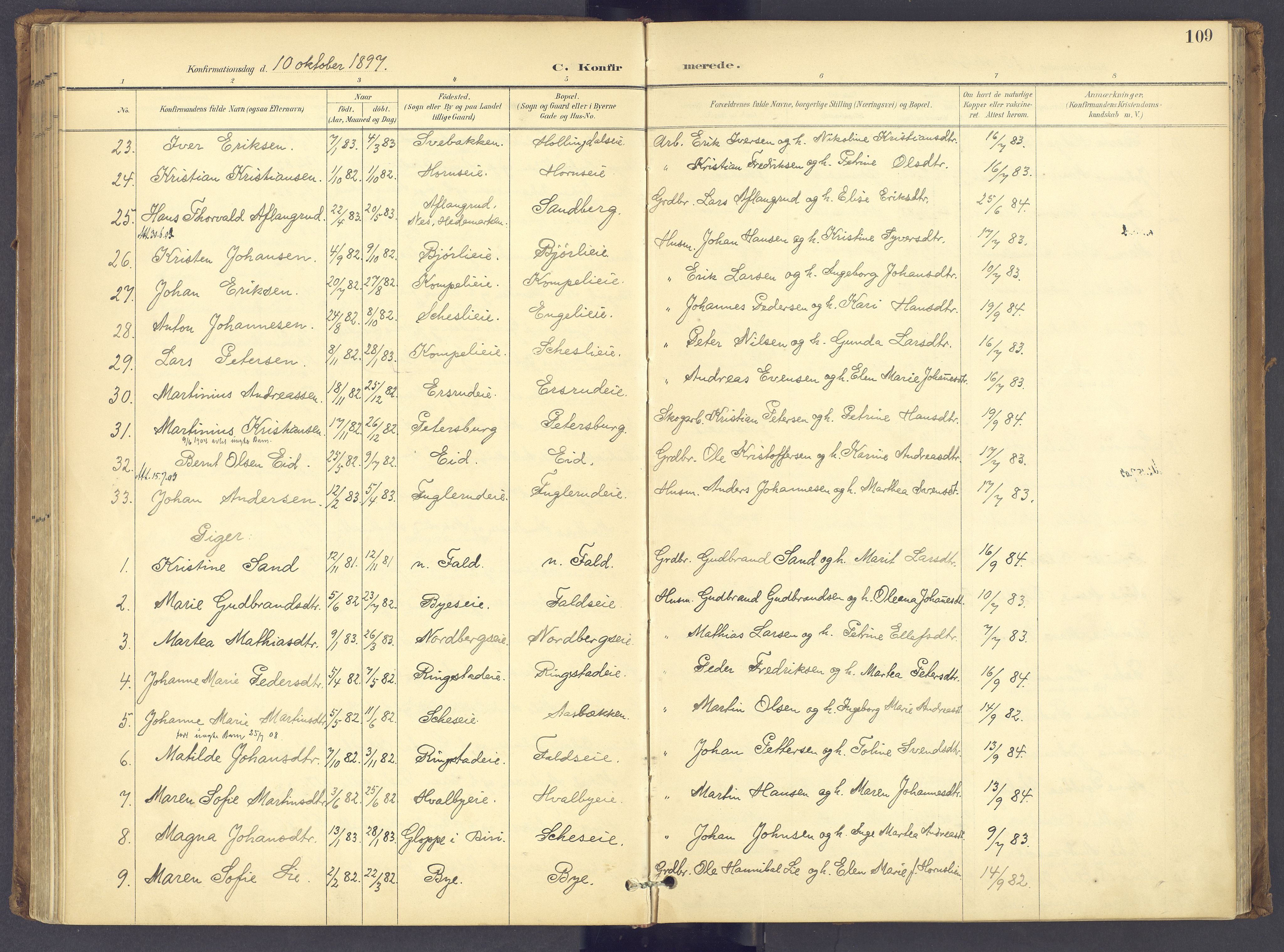 Søndre Land prestekontor, AV/SAH-PREST-122/K/L0006: Ministerialbok nr. 6, 1895-1904, s. 109