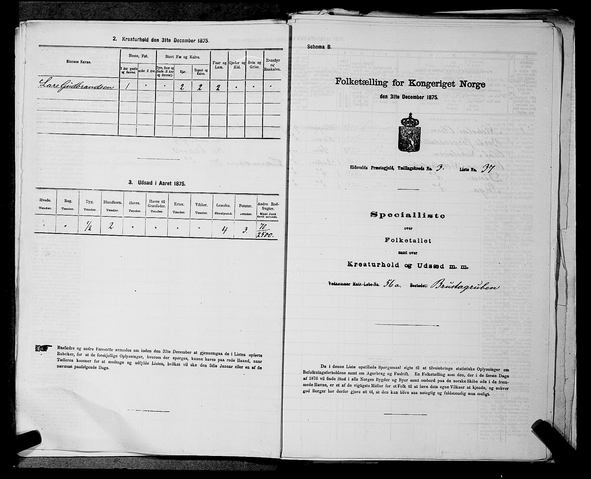 RA, Folketelling 1875 for 0237P Eidsvoll prestegjeld, 1875, s. 446