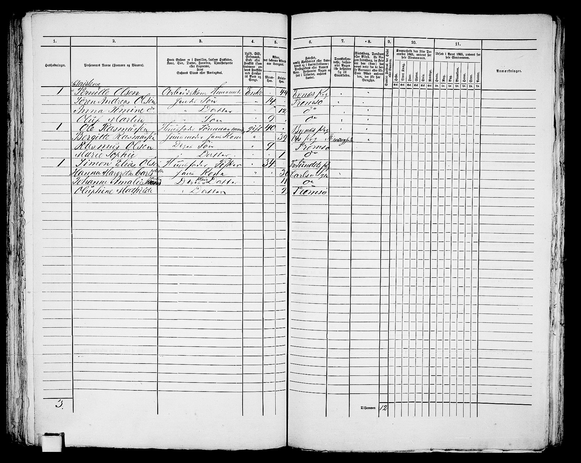 RA, Folketelling 1865 for 1902P Tromsø prestegjeld, 1865, s. 535