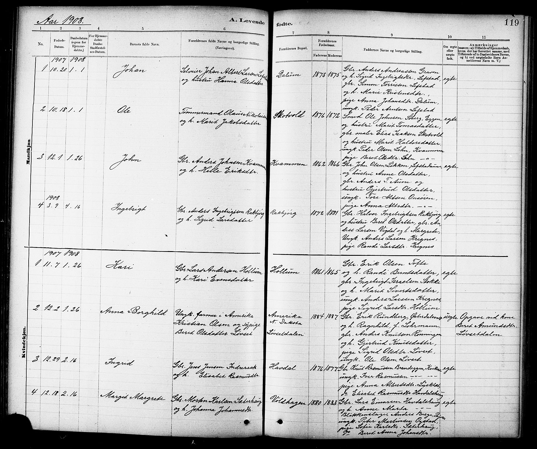 Ministerialprotokoller, klokkerbøker og fødselsregistre - Sør-Trøndelag, AV/SAT-A-1456/691/L1094: Klokkerbok nr. 691C05, 1879-1911, s. 119