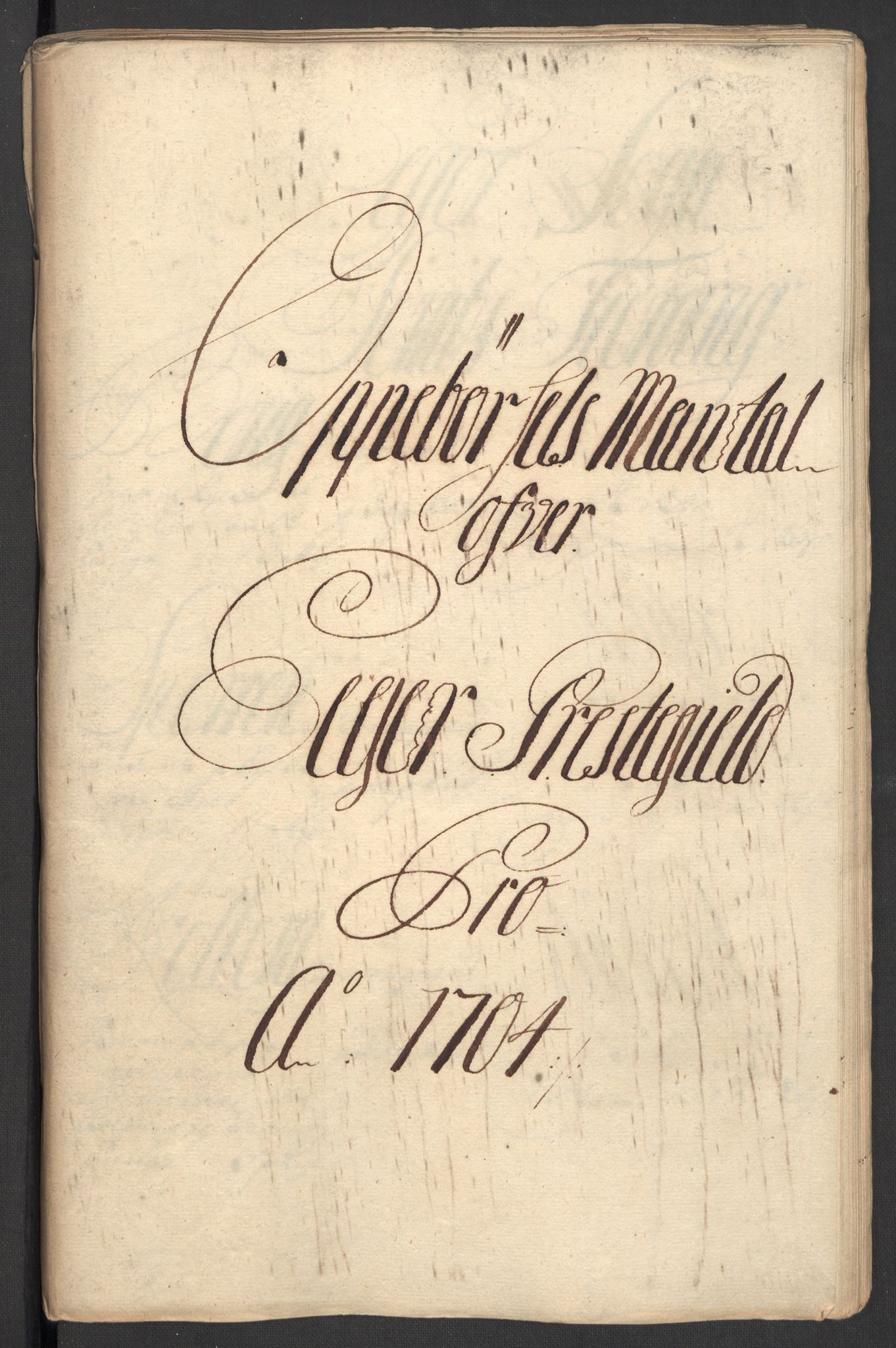 Rentekammeret inntil 1814, Reviderte regnskaper, Fogderegnskap, AV/RA-EA-4092/R30/L1700: Fogderegnskap Hurum, Røyken, Eiker og Lier, 1704-1705, s. 81