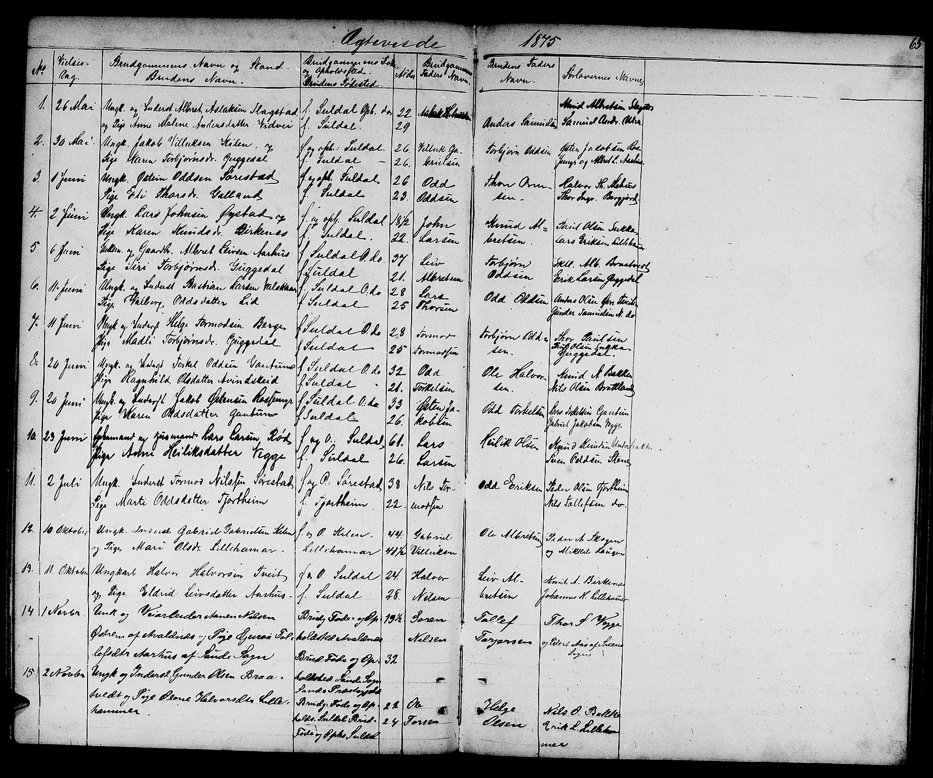 Suldal sokneprestkontor, AV/SAST-A-101845/01/V/L0004: Klokkerbok nr. B 4, 1866-1885, s. 65