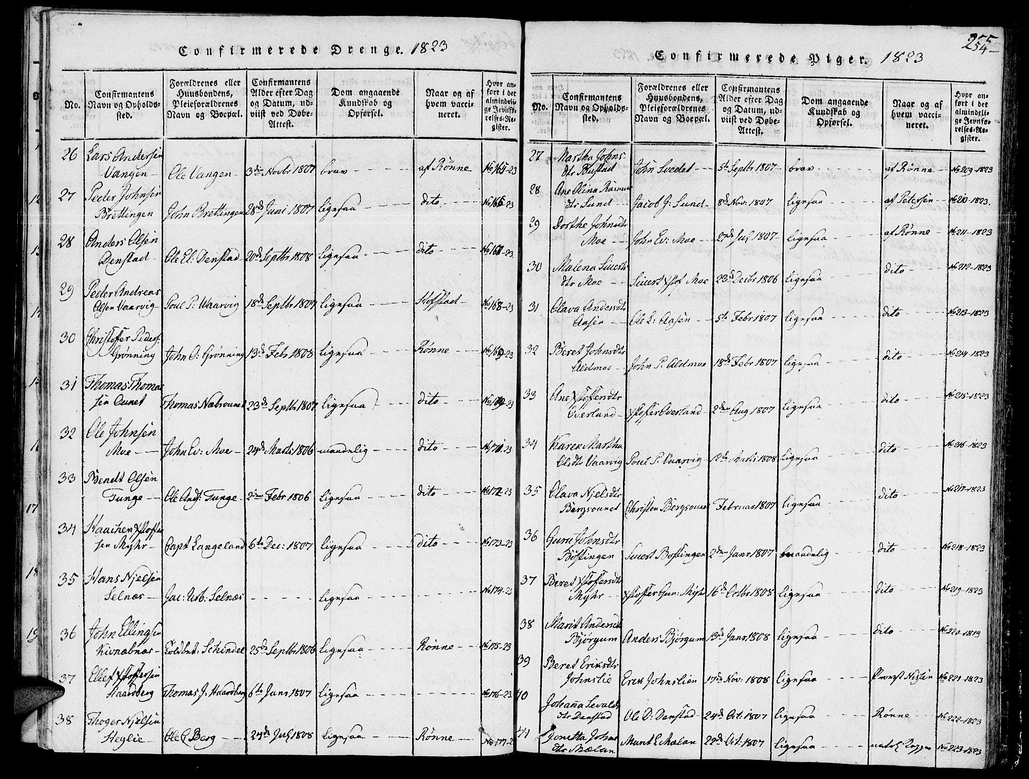 Ministerialprotokoller, klokkerbøker og fødselsregistre - Sør-Trøndelag, SAT/A-1456/646/L0608: Ministerialbok nr. 646A06, 1816-1825, s. 254