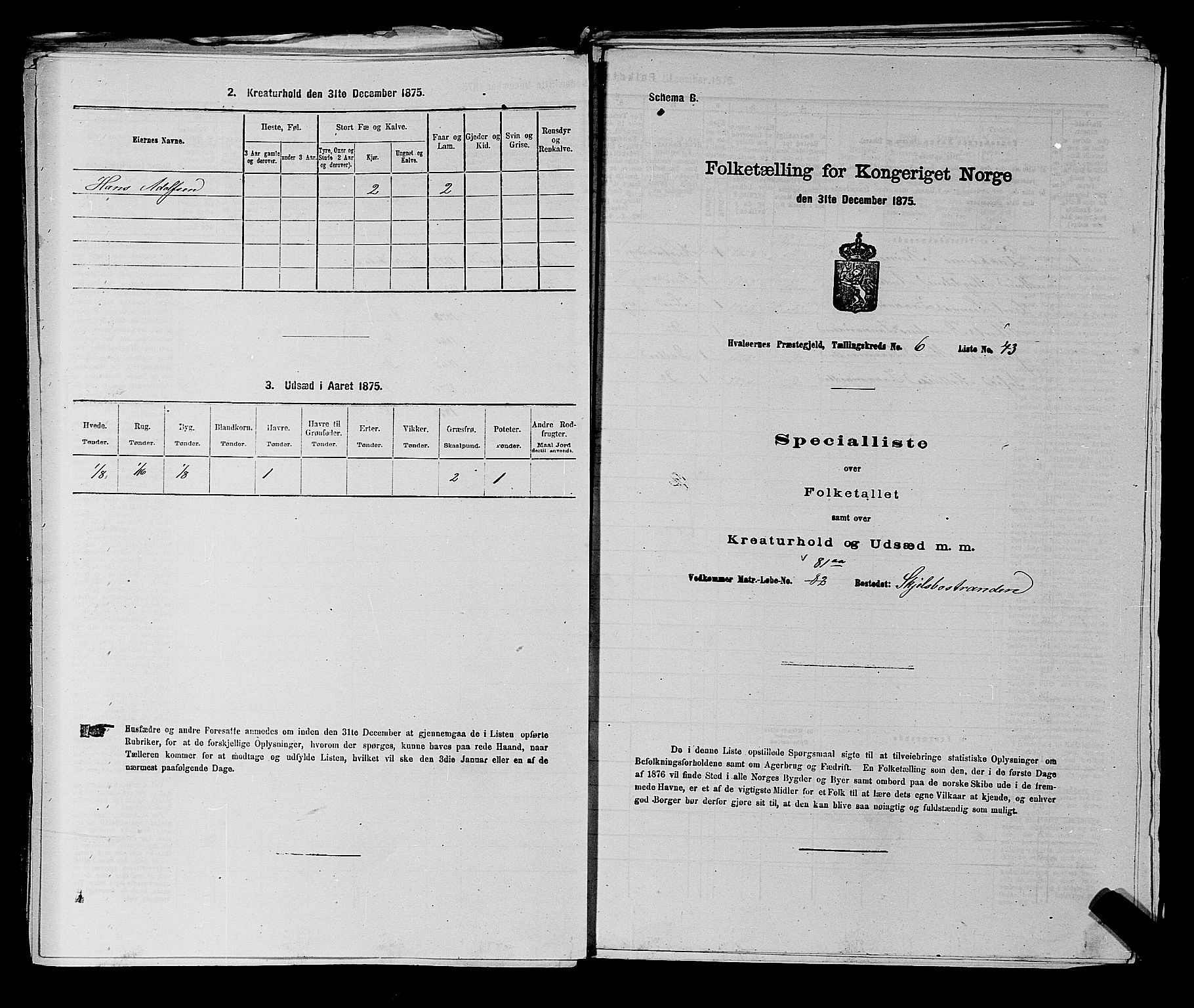 RA, Folketelling 1875 for 0111P Hvaler prestegjeld, 1875, s. 823