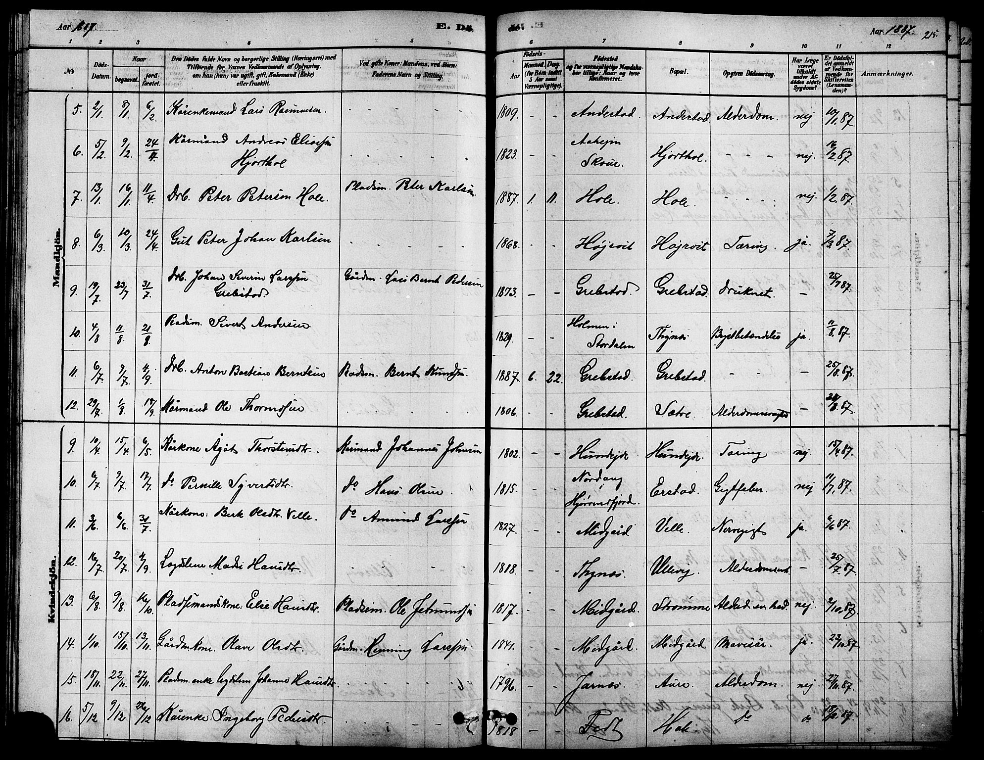 Ministerialprotokoller, klokkerbøker og fødselsregistre - Møre og Romsdal, SAT/A-1454/523/L0339: Klokkerbok nr. 523C02, 1878-1891, s. 215