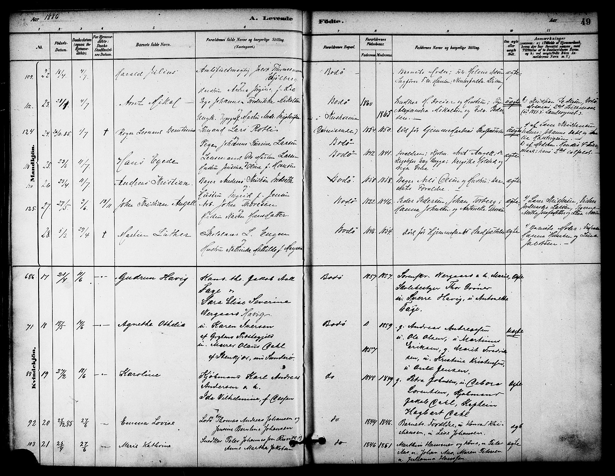 Ministerialprotokoller, klokkerbøker og fødselsregistre - Nordland, AV/SAT-A-1459/801/L0030: Klokkerbok nr. 801C05, 1879-1887, s. 49