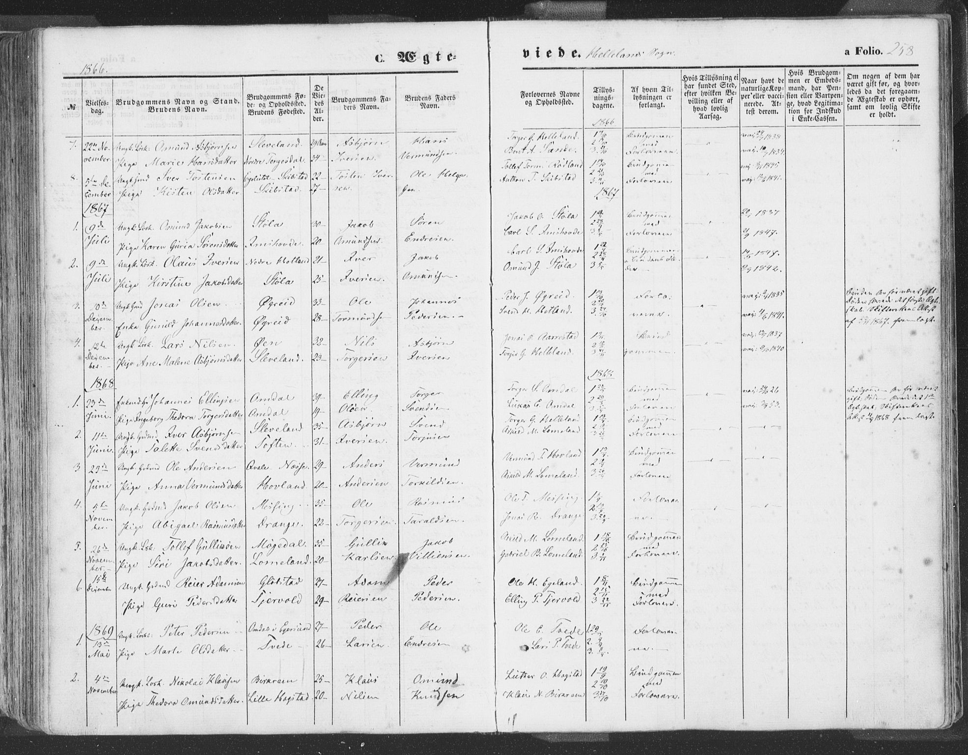 Helleland sokneprestkontor, SAST/A-101810: Ministerialbok nr. A 7.1, 1863-1886, s. 258