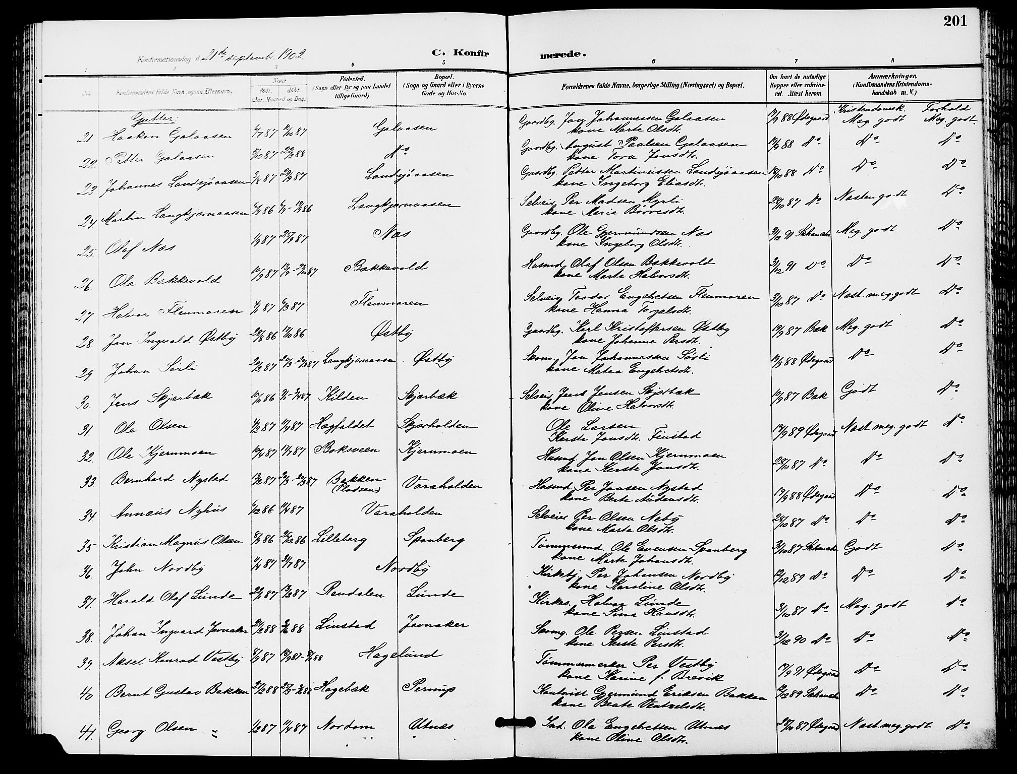 Trysil prestekontor, AV/SAH-PREST-046/H/Ha/Hab/L0006: Klokkerbok nr. 6, 1896-1912, s. 201
