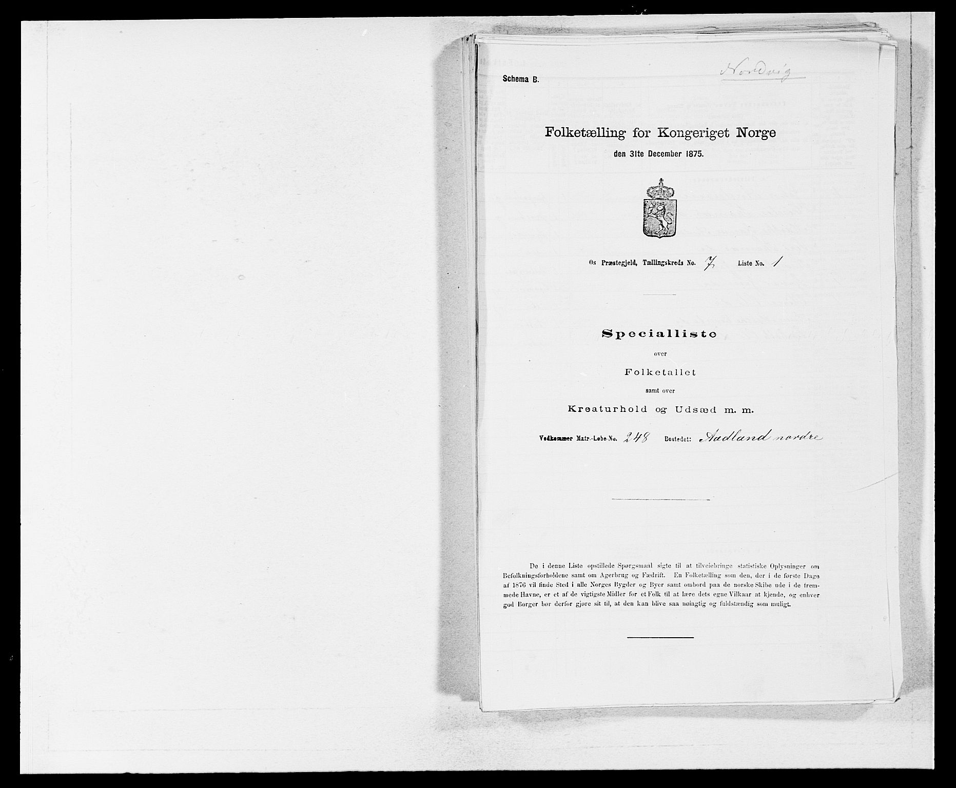 SAB, Folketelling 1875 for 1243P Os prestegjeld, 1875, s. 898