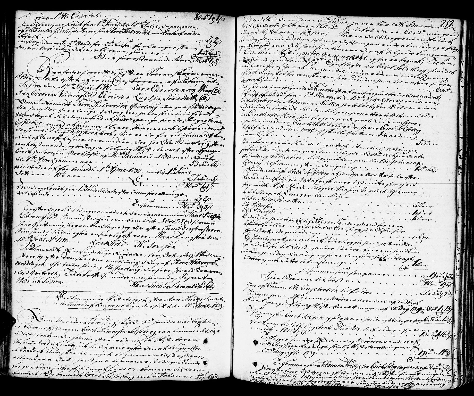 Hedemarken sorenskriveri, SAH/TING-034/J/Ja/L0011: Skifteprotokoll, 1736-1743, s. 250b-251a