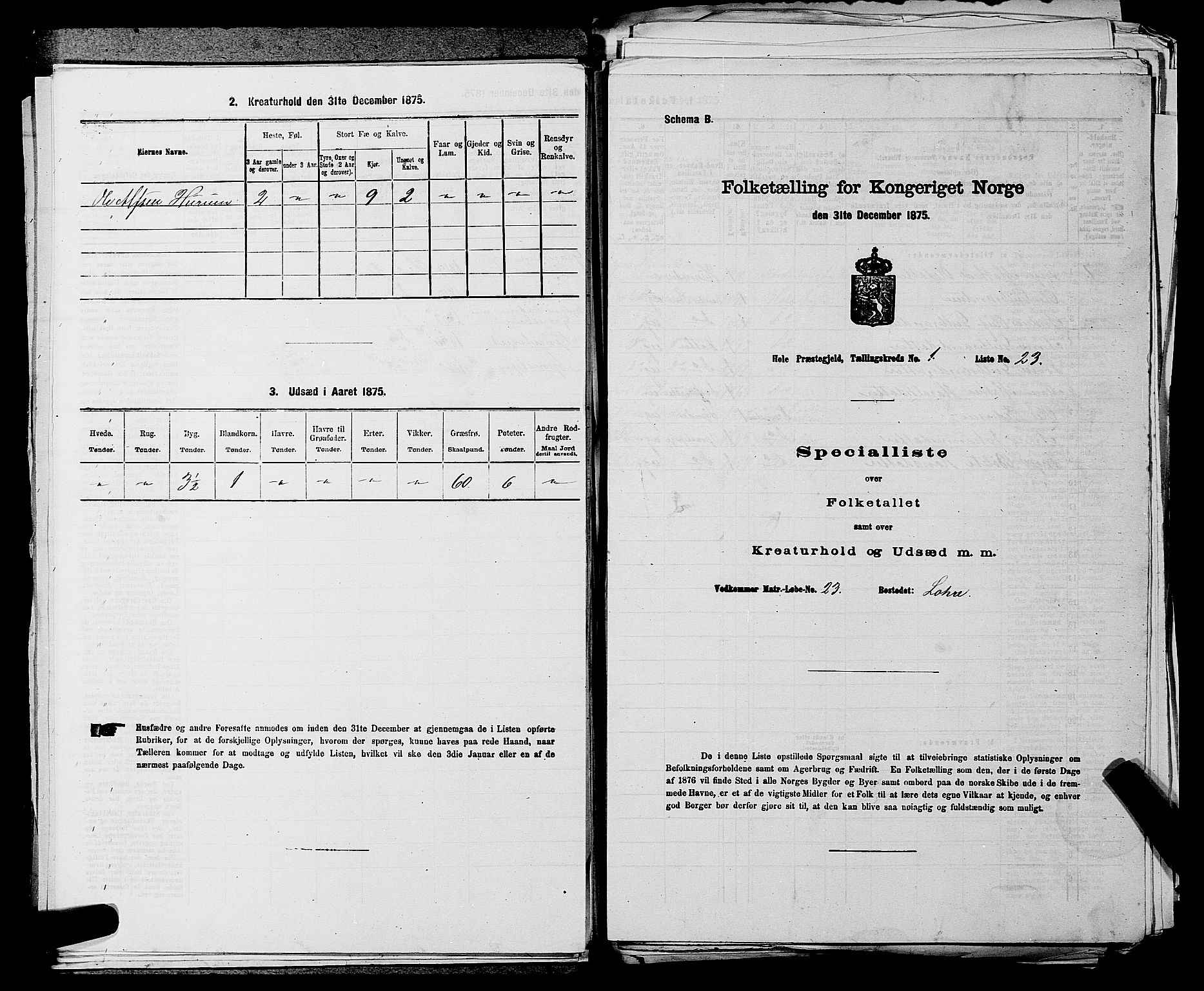 SAKO, Folketelling 1875 for 0612P Hole prestegjeld, 1875, s. 158