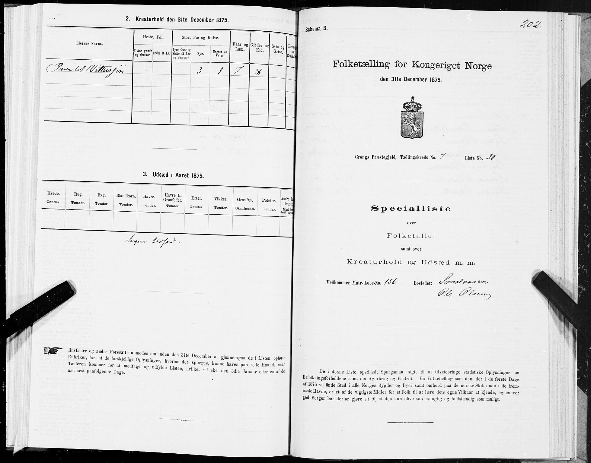 SAT, Folketelling 1875 for 1742P Grong prestegjeld, 1875, s. 4202