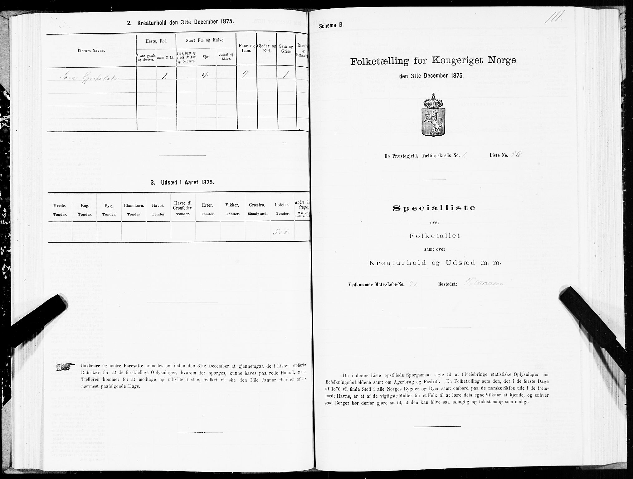 SAT, Folketelling 1875 for 1867P Bø prestegjeld, 1875, s. 1111