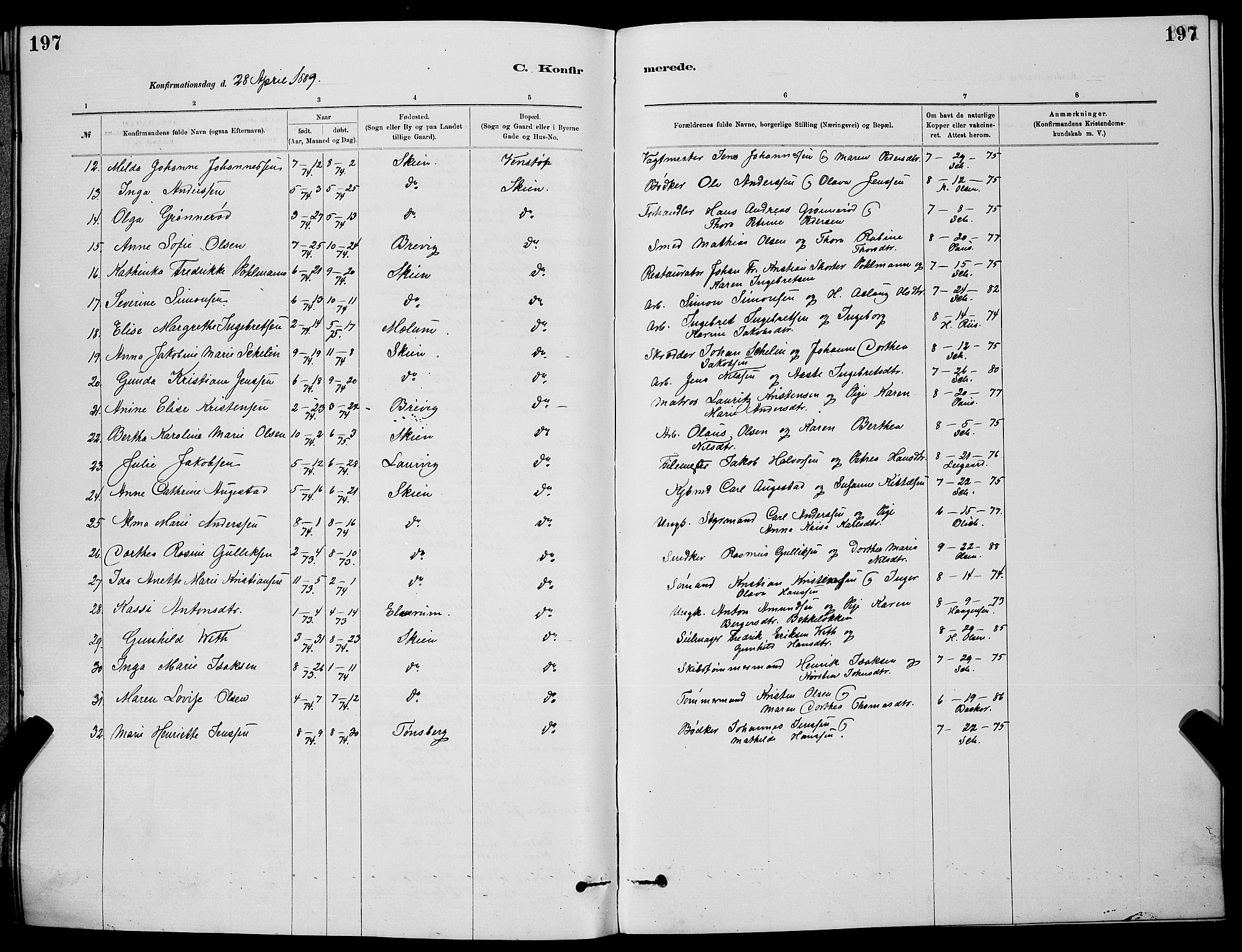 Skien kirkebøker, AV/SAKO-A-302/G/Ga/L0006: Klokkerbok nr. 6, 1881-1890, s. 197