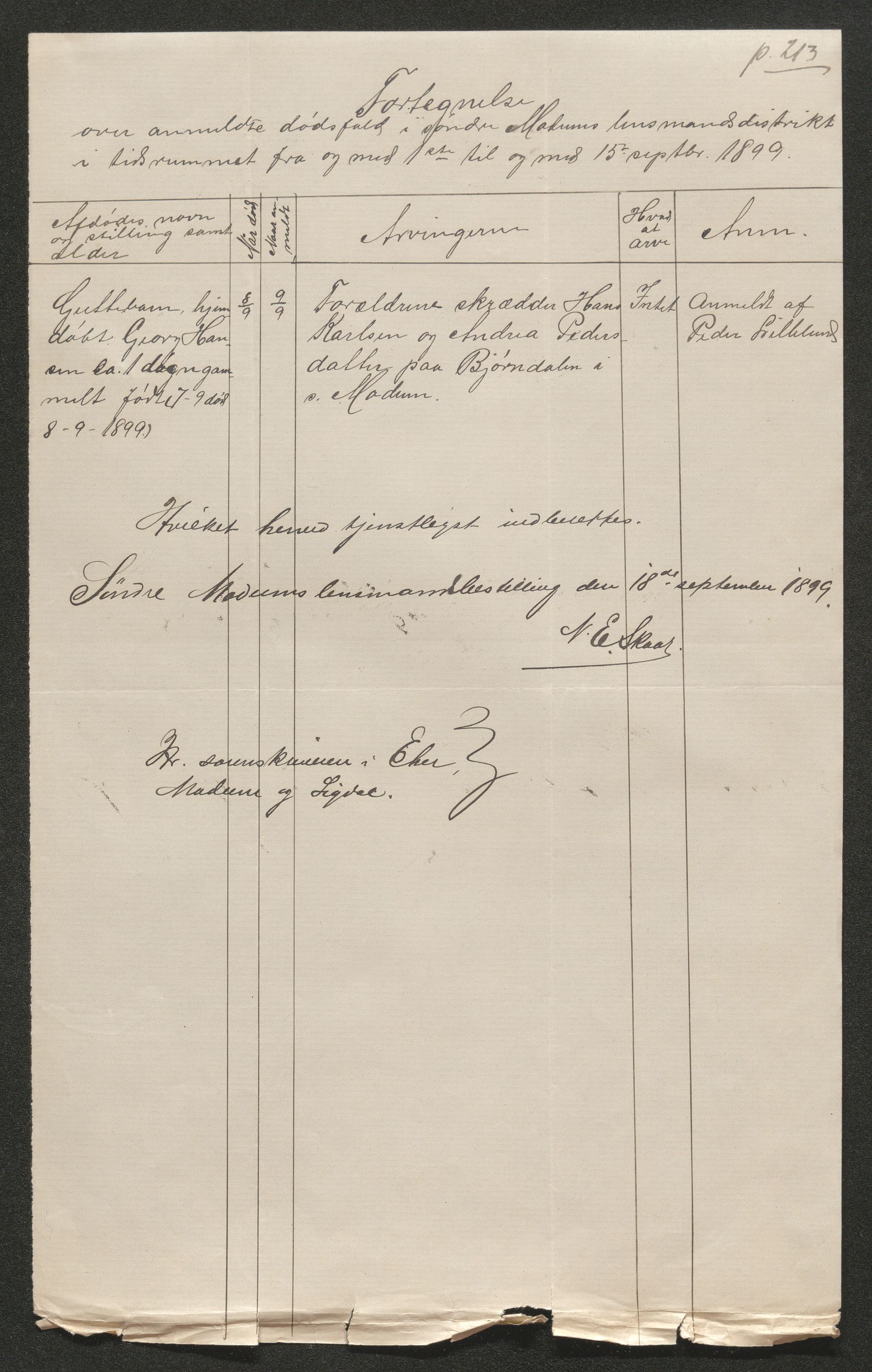 Eiker, Modum og Sigdal sorenskriveri, SAKO/A-123/H/Ha/Hab/L0026: Dødsfallsmeldinger, 1899, s. 295