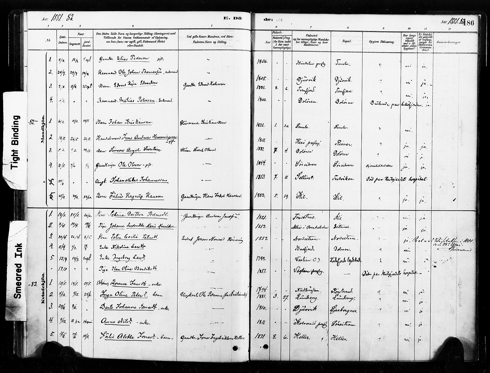 Ministerialprotokoller, klokkerbøker og fødselsregistre - Nord-Trøndelag, SAT/A-1458/789/L0705: Ministerialbok nr. 789A01, 1878-1910, s. 186