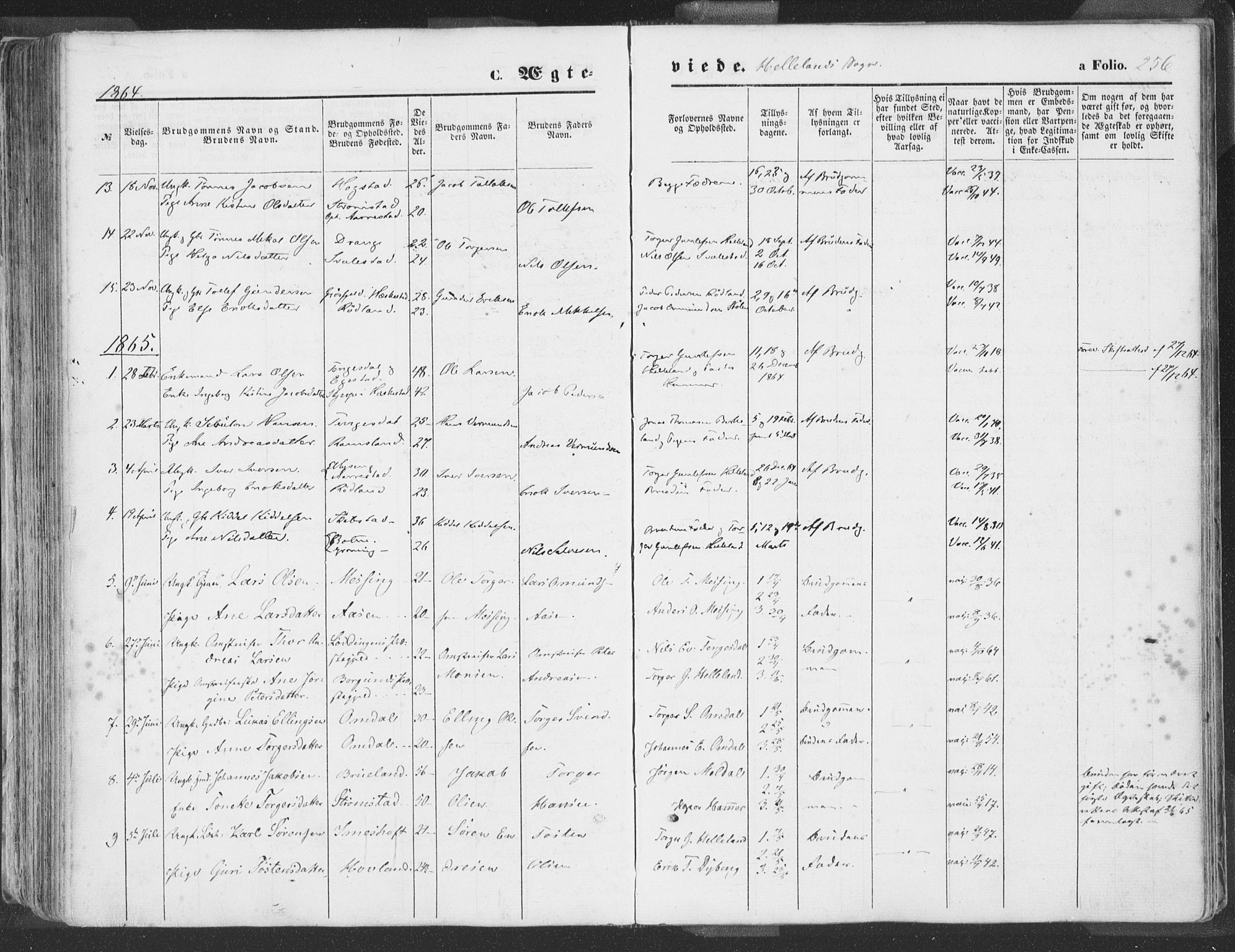 Helleland sokneprestkontor, SAST/A-101810: Ministerialbok nr. A 7.1, 1863-1886, s. 256