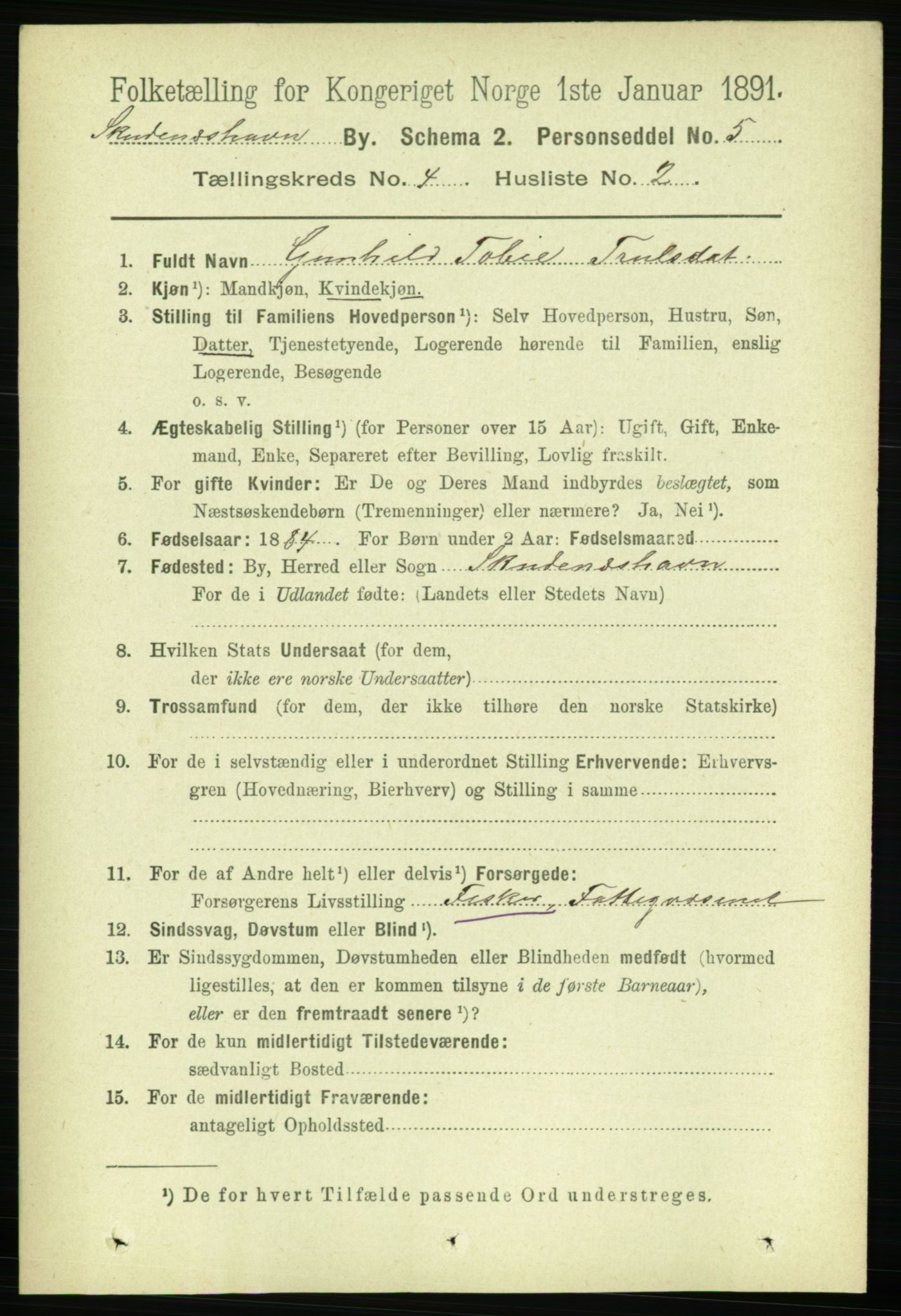 RA, Folketelling 1891 for 1104 Skudeneshavn ladested, 1891, s. 1344