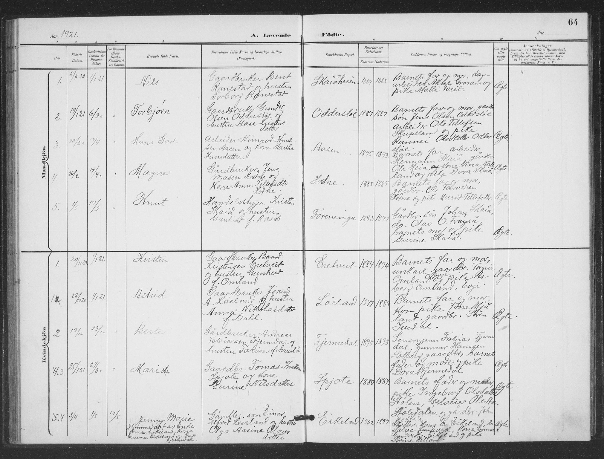 Evje sokneprestkontor, AV/SAK-1111-0008/F/Fb/Fbc/L0005: Klokkerbok nr. B 5, 1901-1935, s. 64