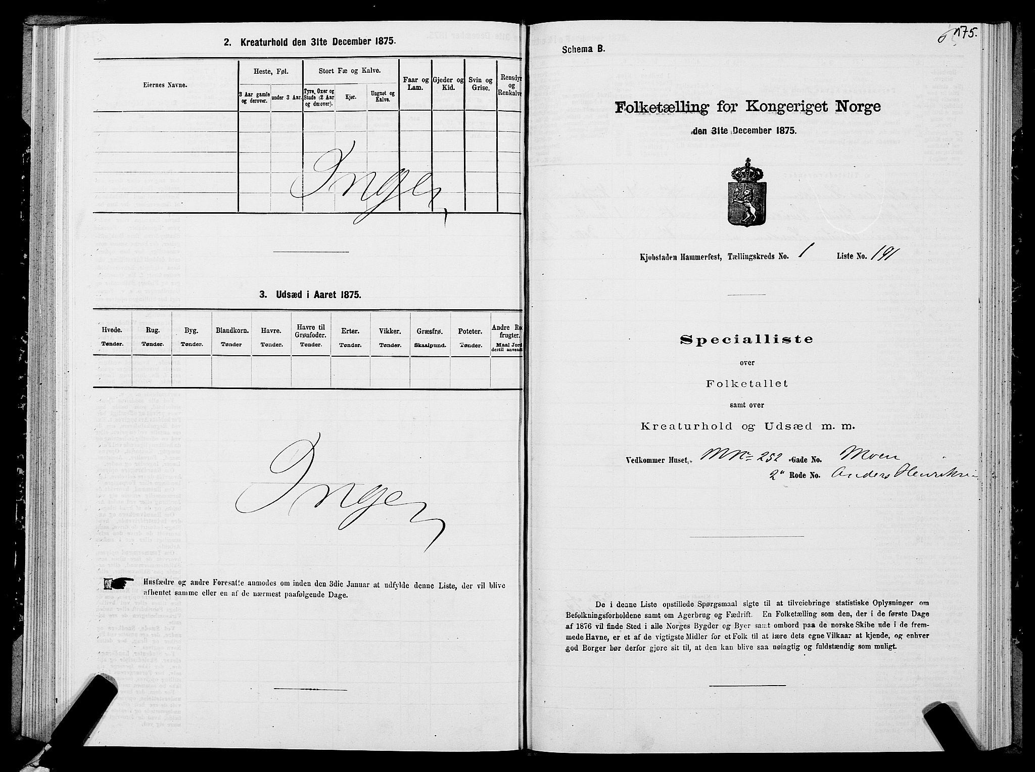 SATØ, Folketelling 1875 for 2001B Hammerfest prestegjeld, Hammerfest kjøpstad, 1875, s. 2175