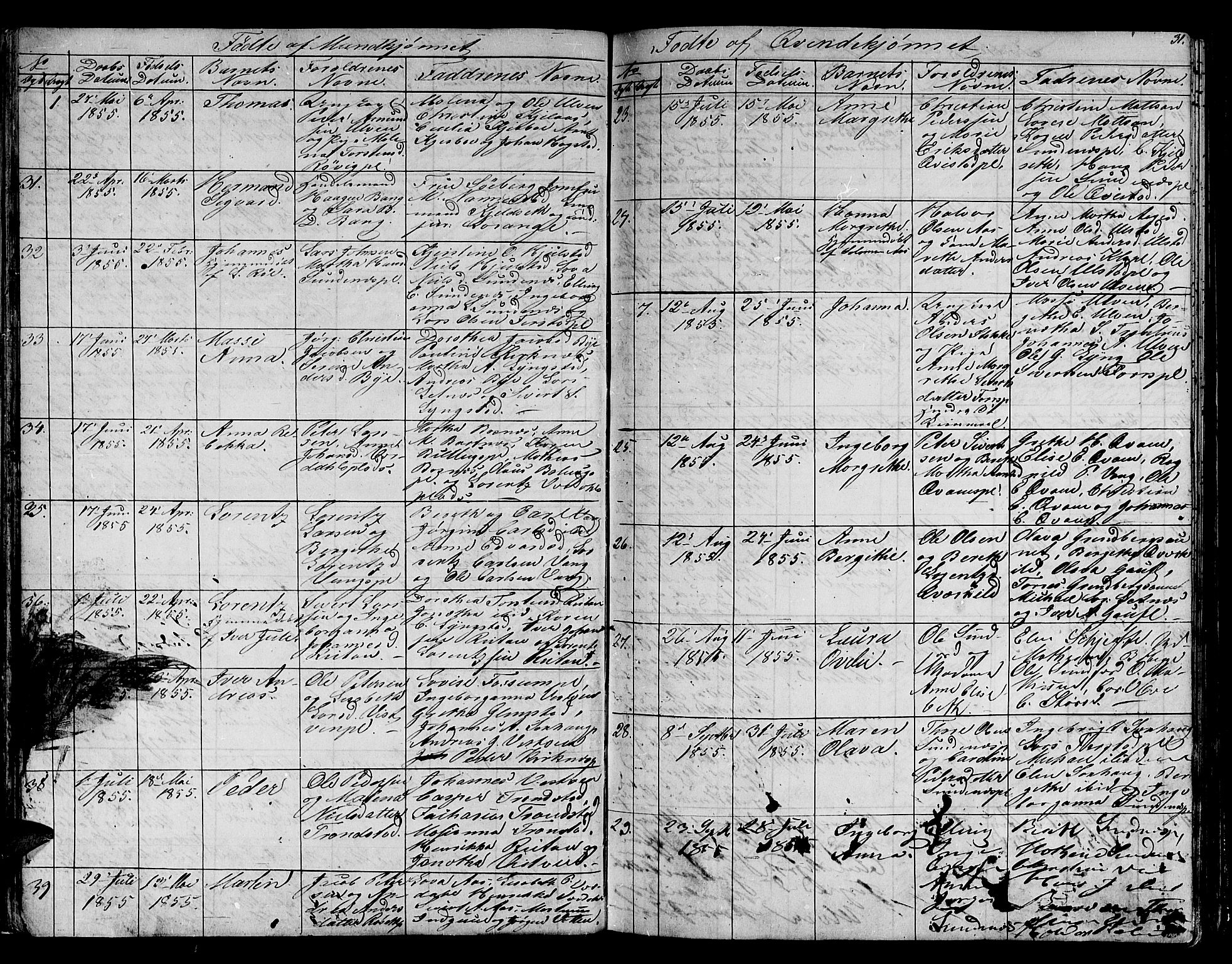 Ministerialprotokoller, klokkerbøker og fødselsregistre - Nord-Trøndelag, SAT/A-1458/730/L0299: Klokkerbok nr. 730C02, 1849-1871, s. 31