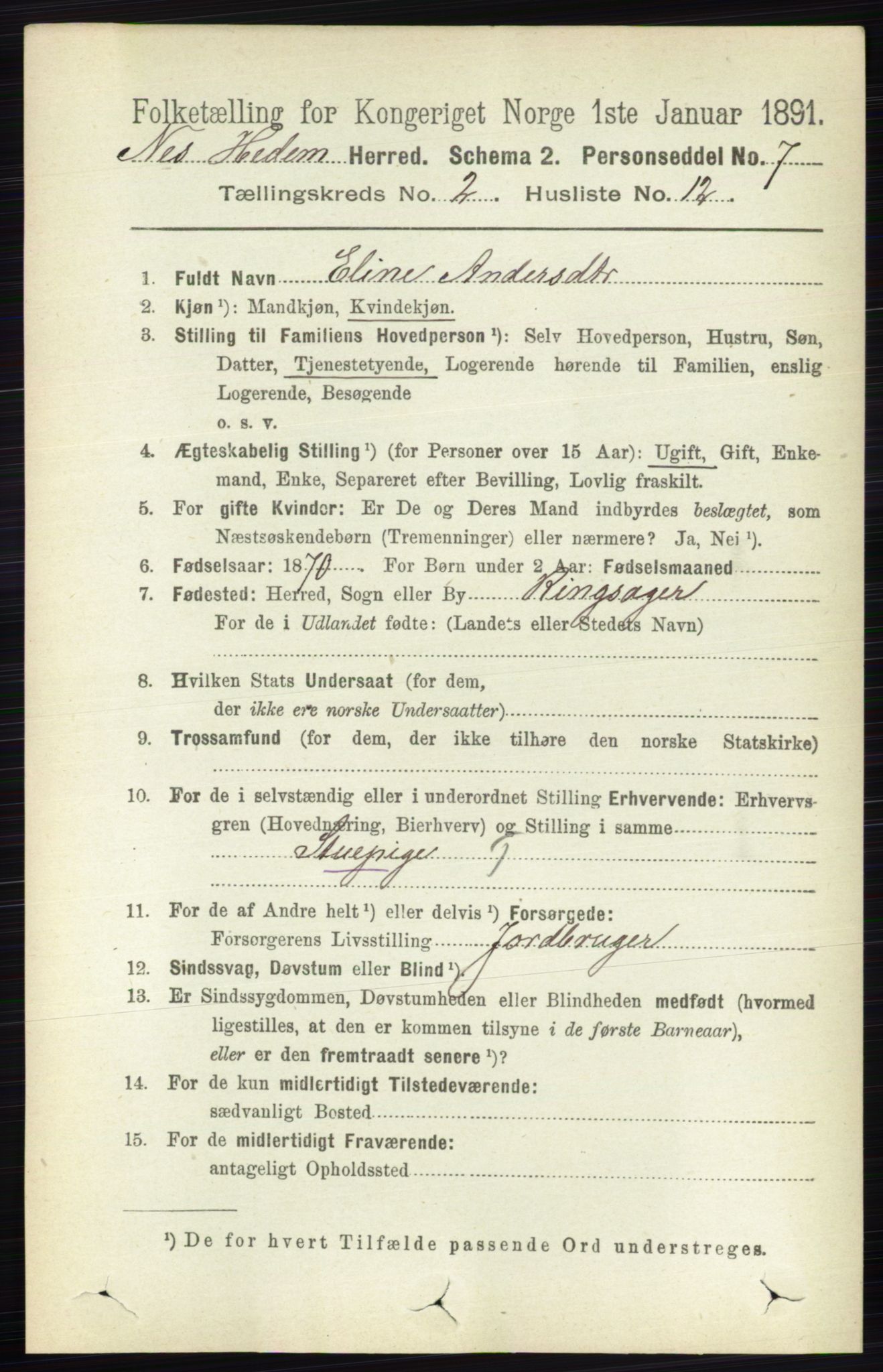 RA, Folketelling 1891 for 0411 Nes herred, 1891, s. 1142
