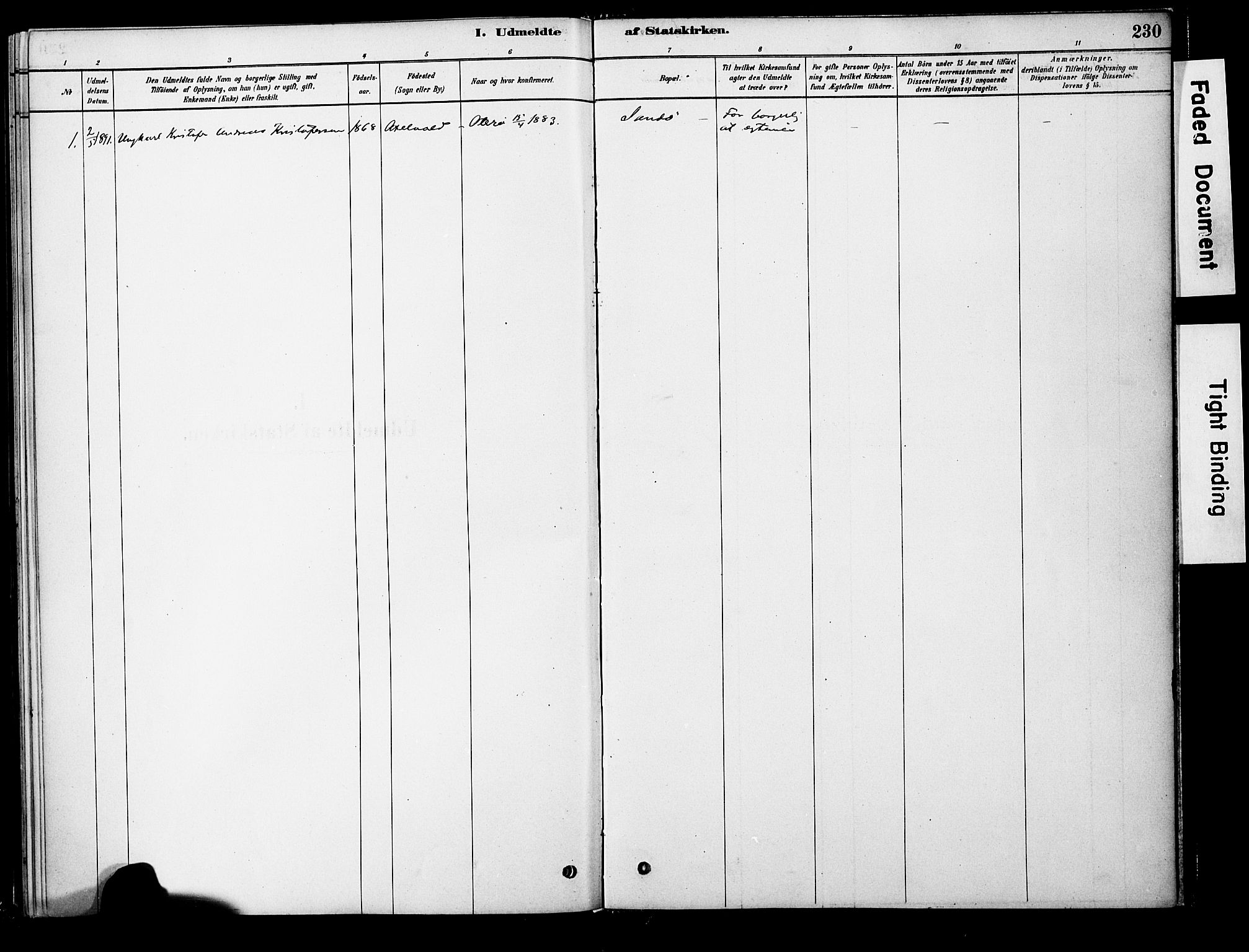 Ministerialprotokoller, klokkerbøker og fødselsregistre - Møre og Romsdal, AV/SAT-A-1454/563/L0736: Ministerialbok nr. 563A01, 1878-1903, s. 230