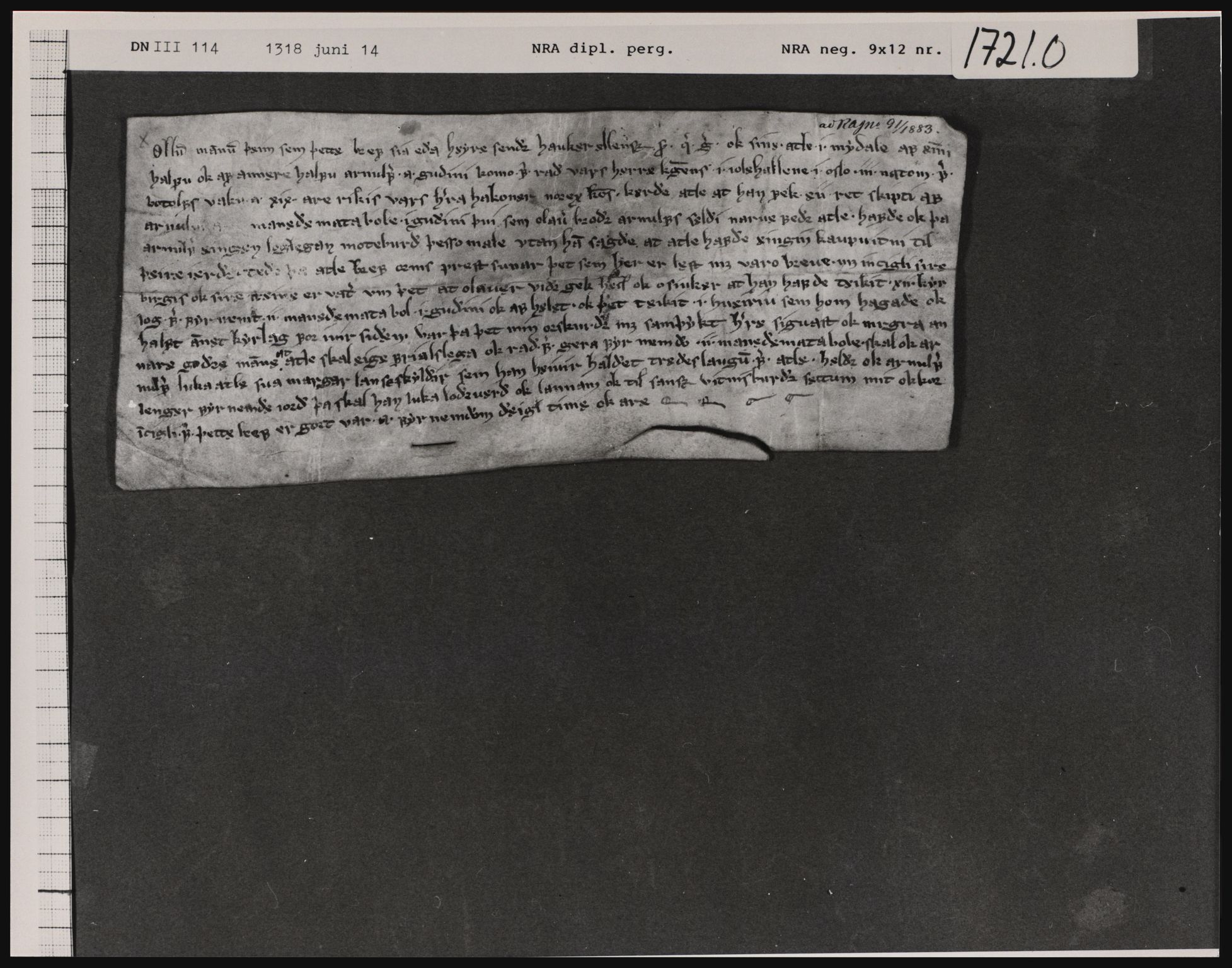 Riksarkivets diplomsamling, AV/RA-EA-5965/F01/F01a/L0011: Dokumenter, 1317-1318, s. 13
