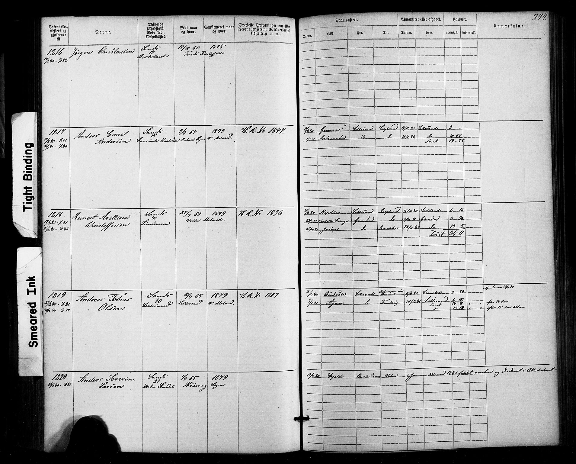 Lillesand mønstringskrets, AV/SAK-2031-0014/F/Fa/L0002: Annotasjonsrulle nr 1-1910 med register, W-8, 1868-1891, s. 250