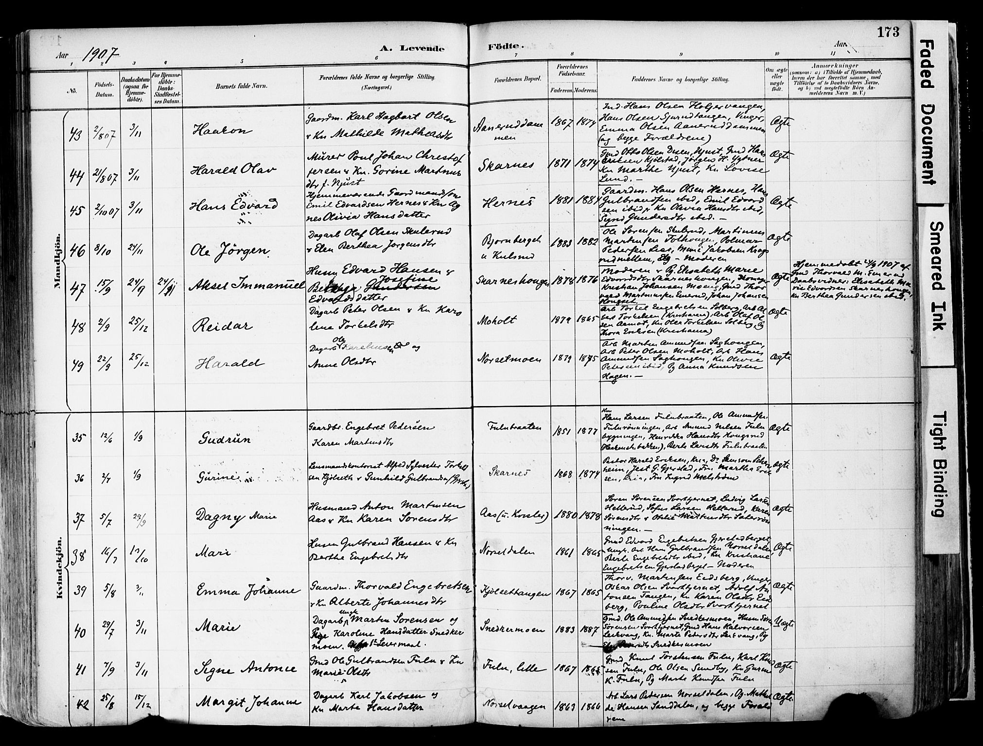 Sør-Odal prestekontor, AV/SAH-PREST-030/H/Ha/Haa/L0006: Ministerialbok nr. 6, 1886-1931, s. 173