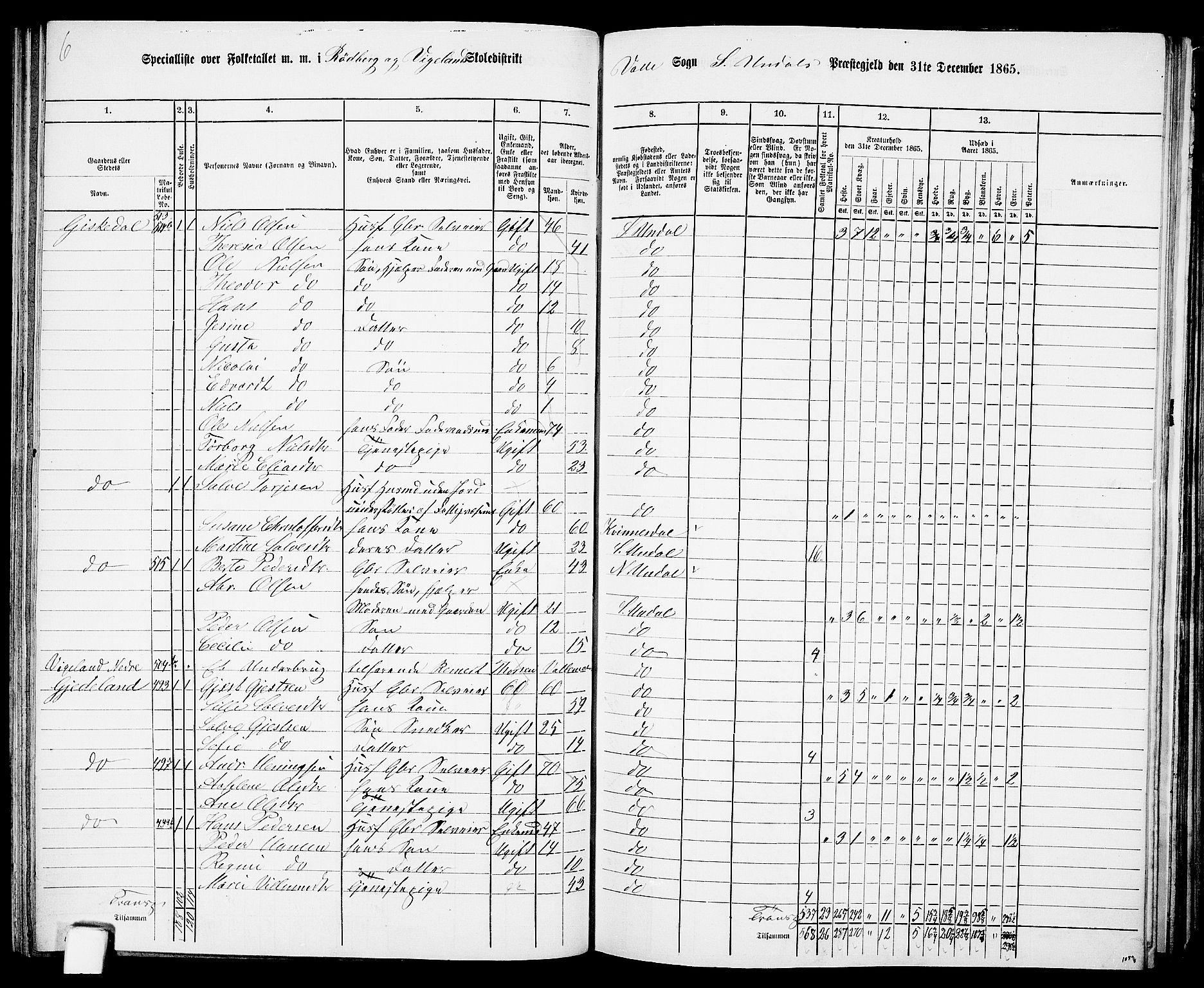 RA, Folketelling 1865 for 1029P Sør-Audnedal prestegjeld, 1865, s. 99