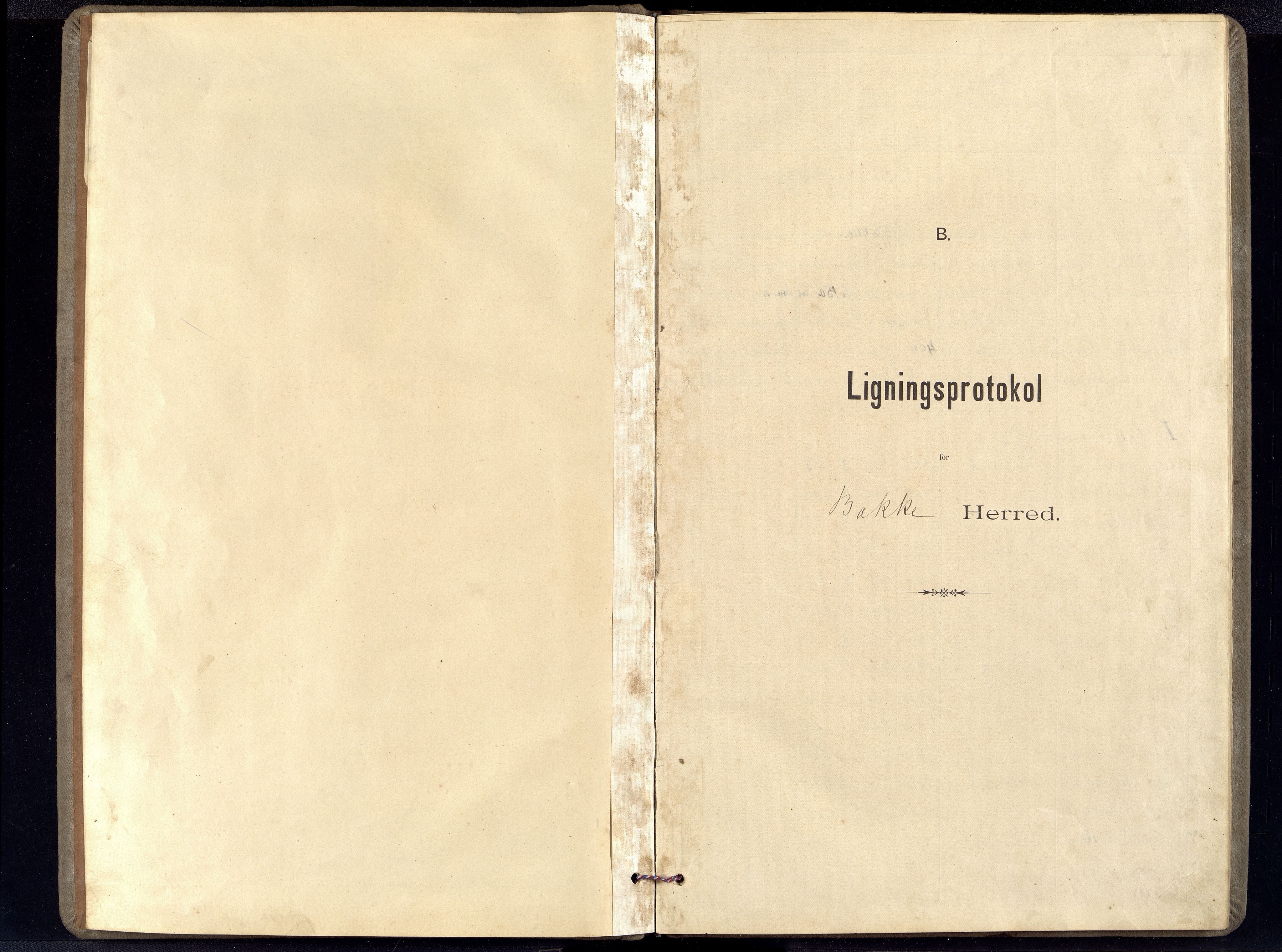 Bakke kommune - Likningsnemnda, ARKSOR/1004BA310/F/L0002: Likningsprotokoll, 1898-1900