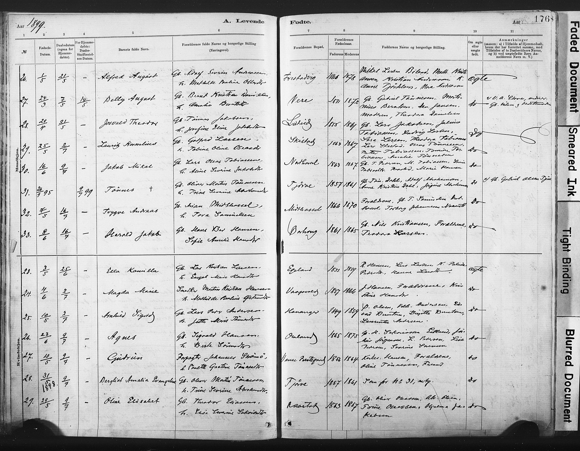 Lista sokneprestkontor, AV/SAK-1111-0027/F/Fa/L0012: Ministerialbok nr. A 12, 1879-1903, s. 176