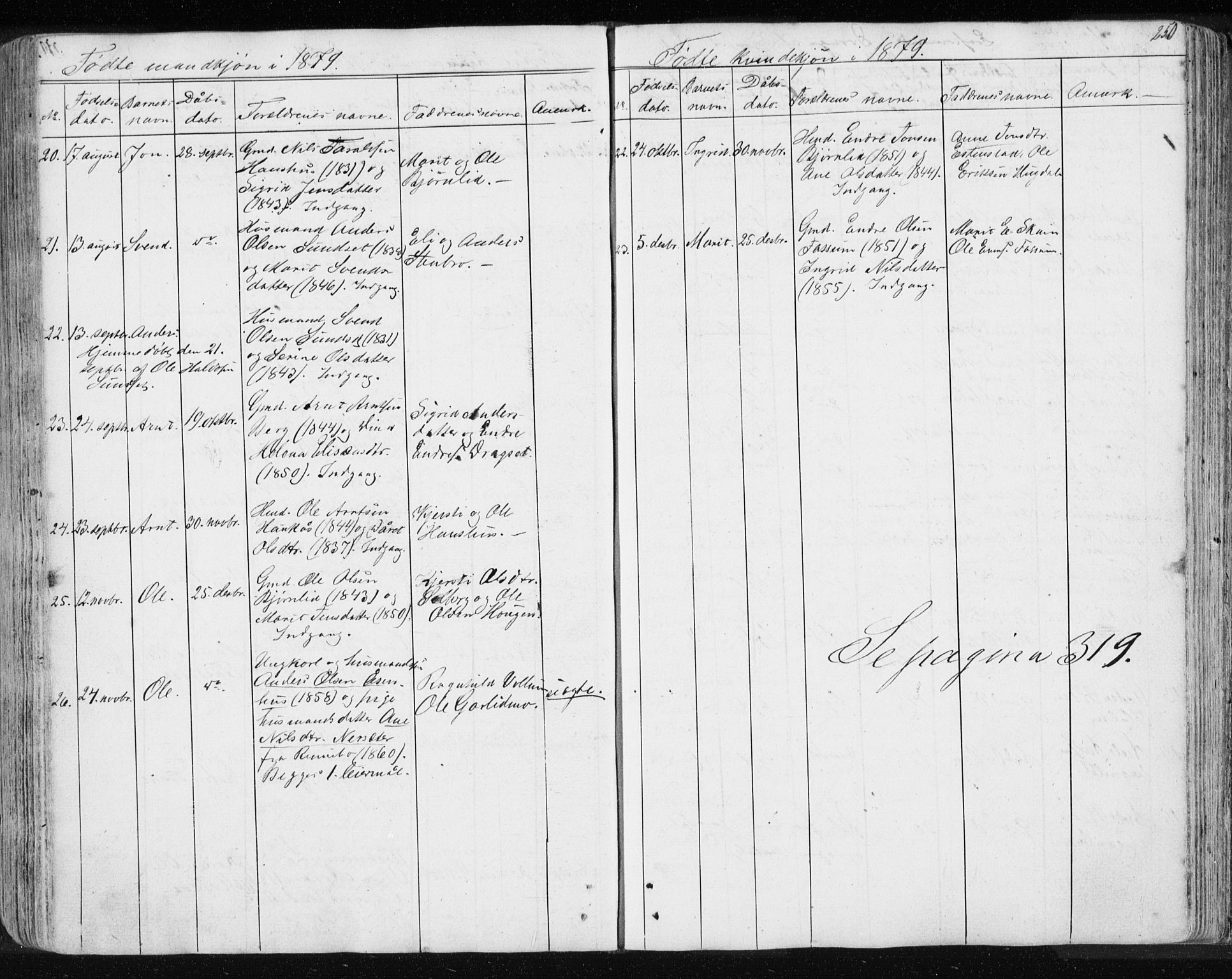 Ministerialprotokoller, klokkerbøker og fødselsregistre - Sør-Trøndelag, AV/SAT-A-1456/689/L1043: Klokkerbok nr. 689C02, 1816-1892, s. 250