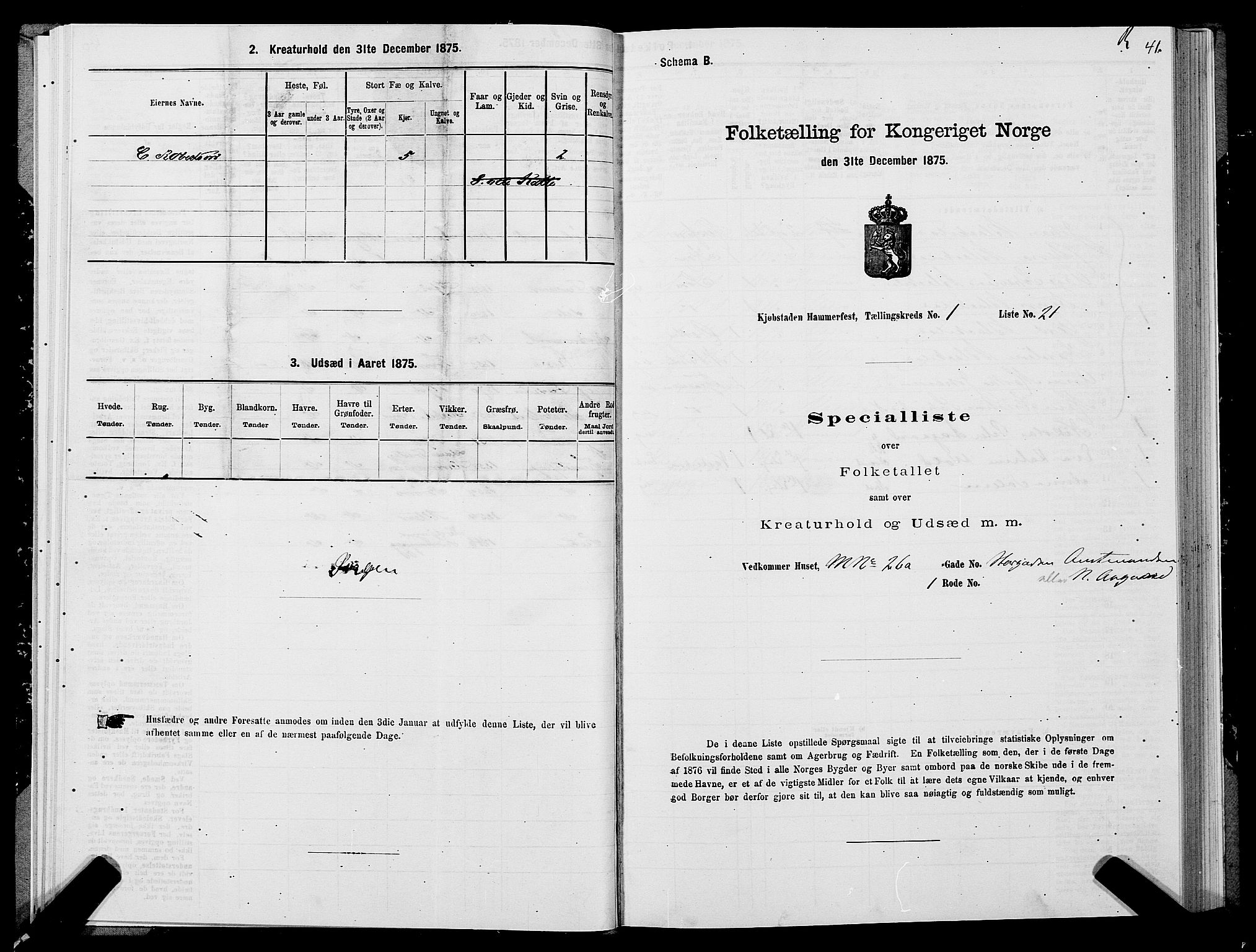 SATØ, Folketelling 1875 for 2001B Hammerfest prestegjeld, Hammerfest kjøpstad, 1875, s. 1041